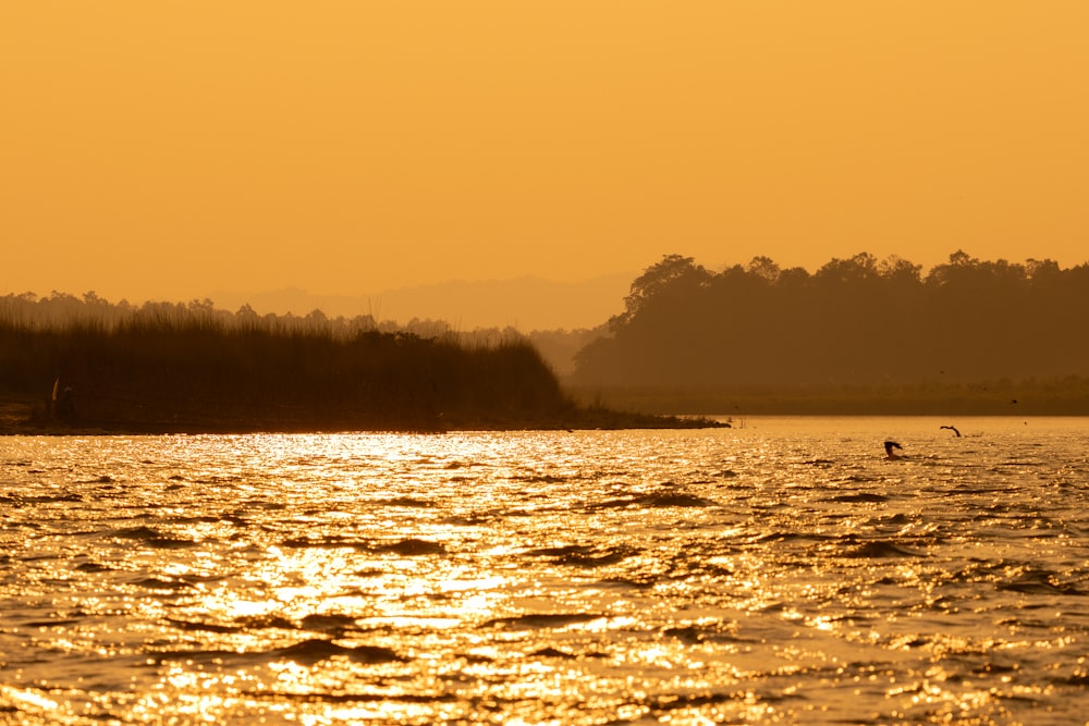 a person on a surfboard in a body of water