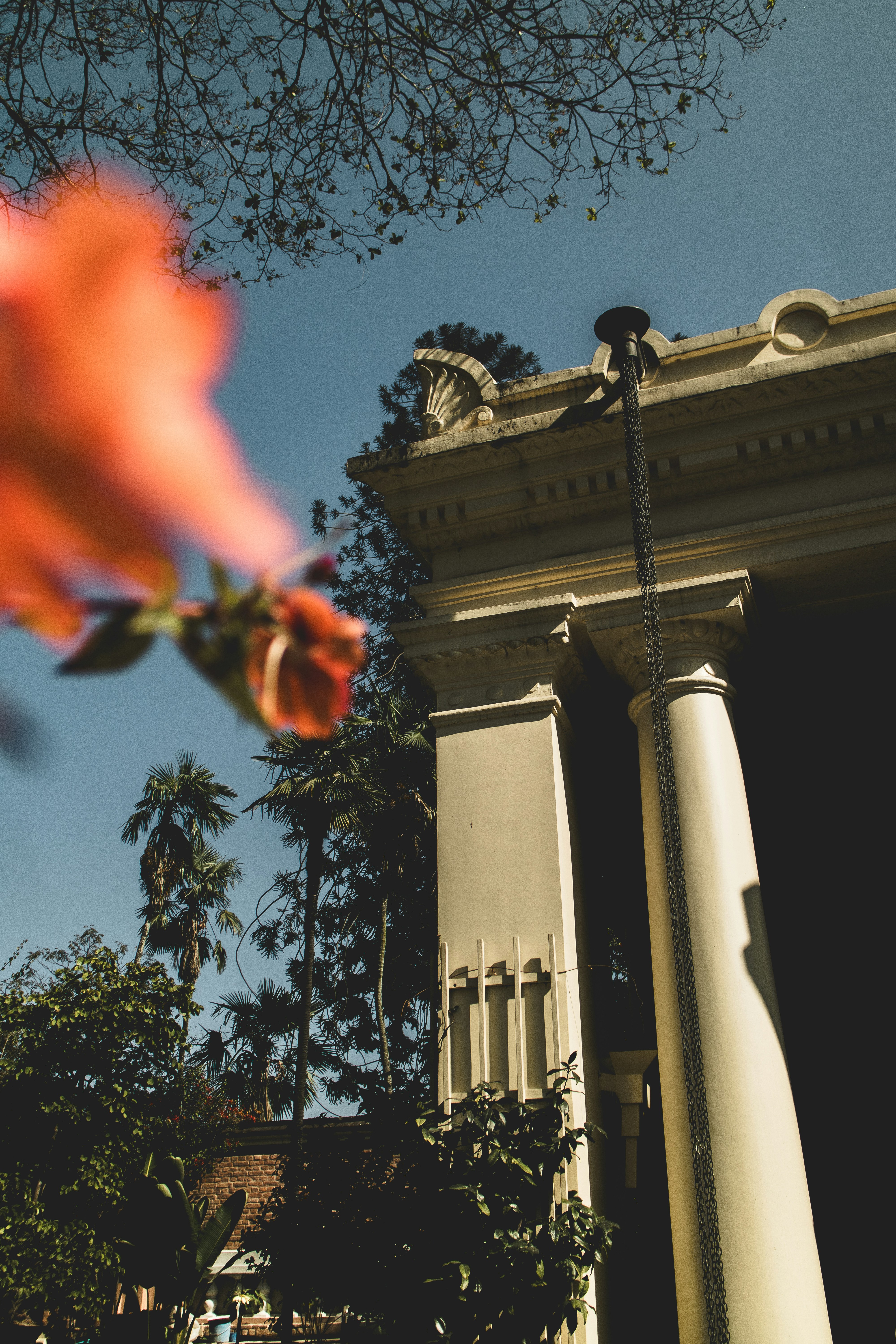 Garden of Dreams photo 3