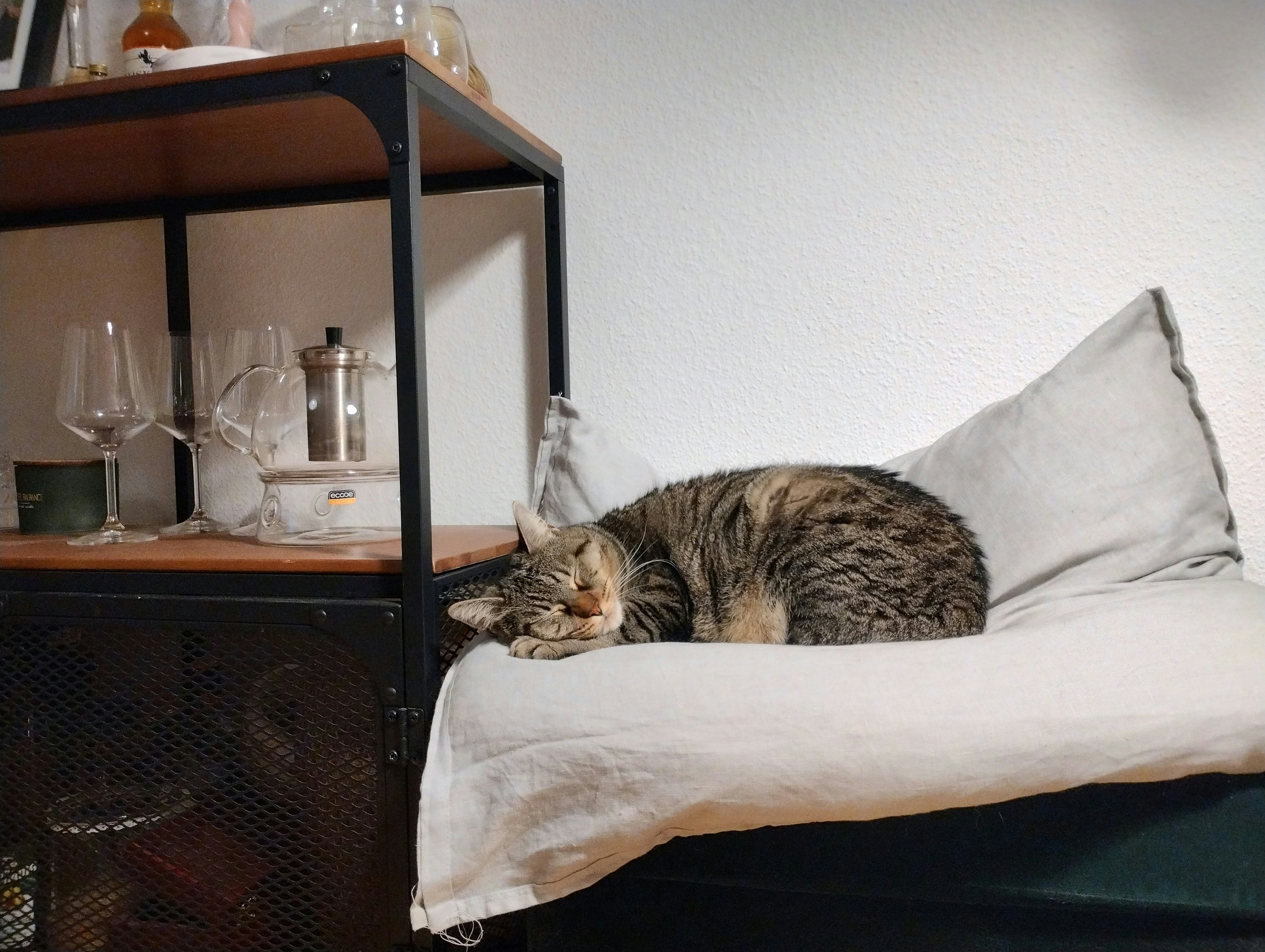 a cat is sleeping on a pillow on a shelf