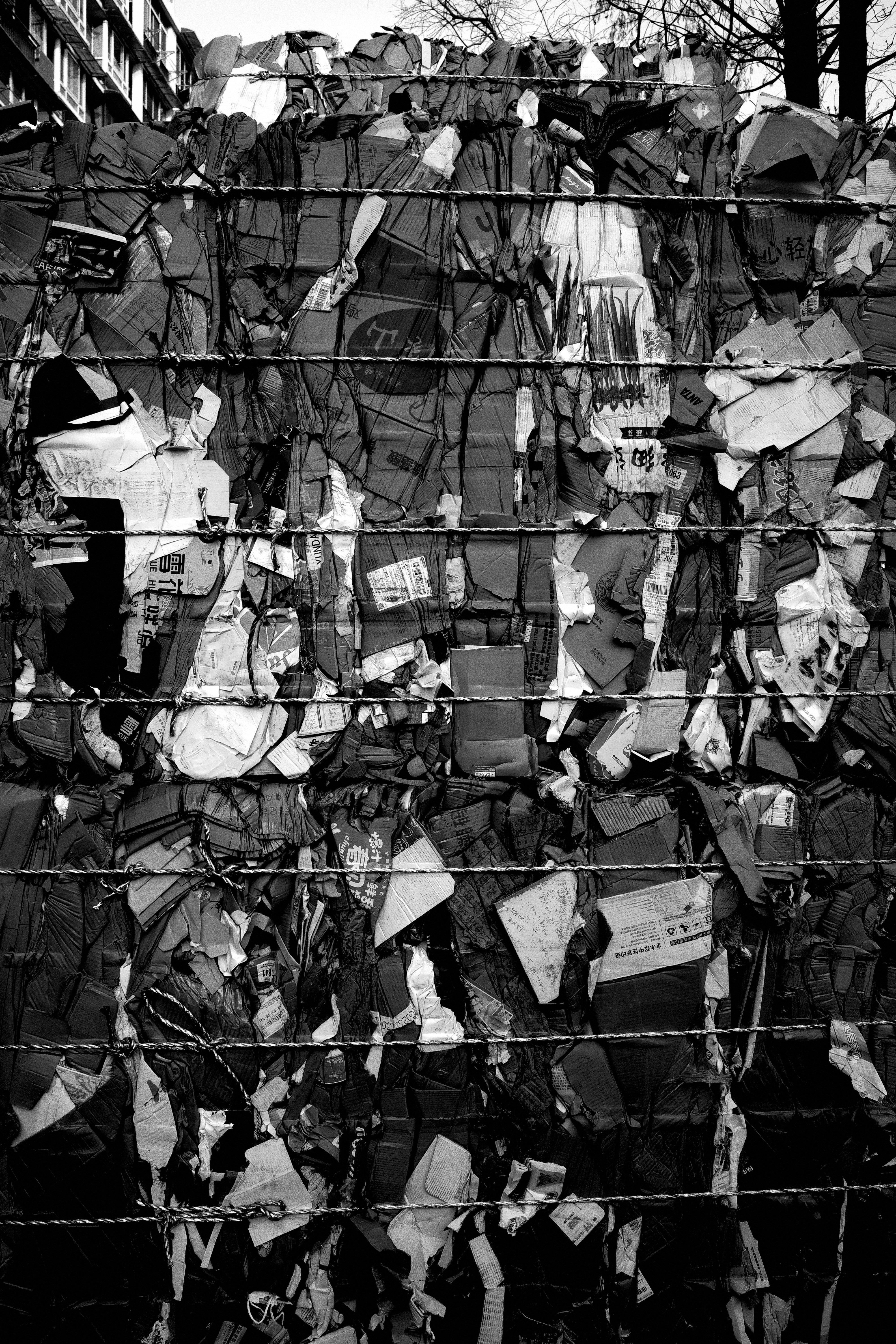 Photo by cultaman