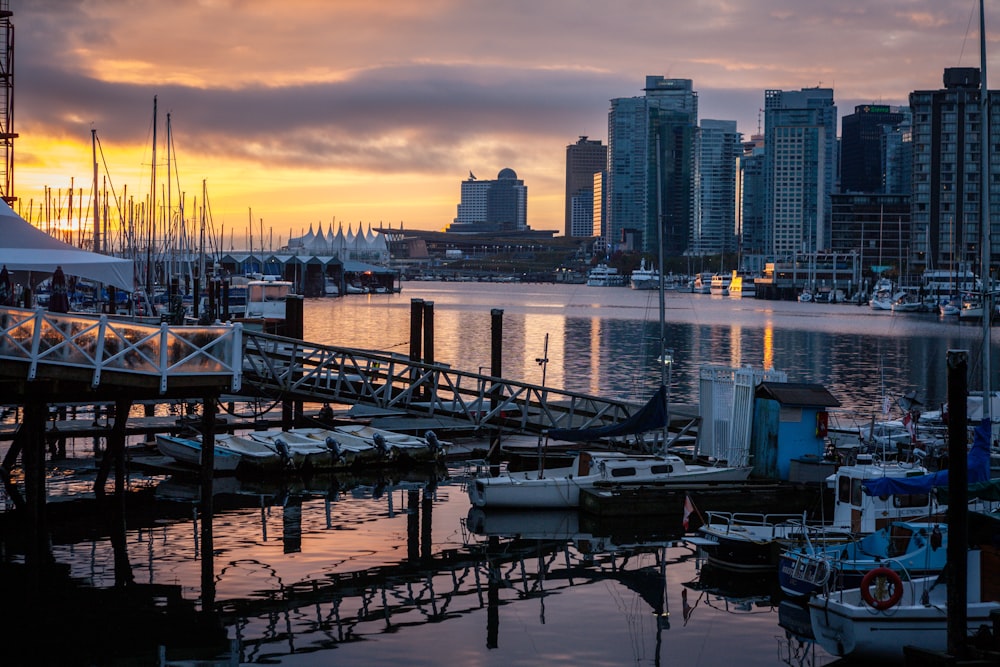 a harbor filled with lots of boats next to tall buildings