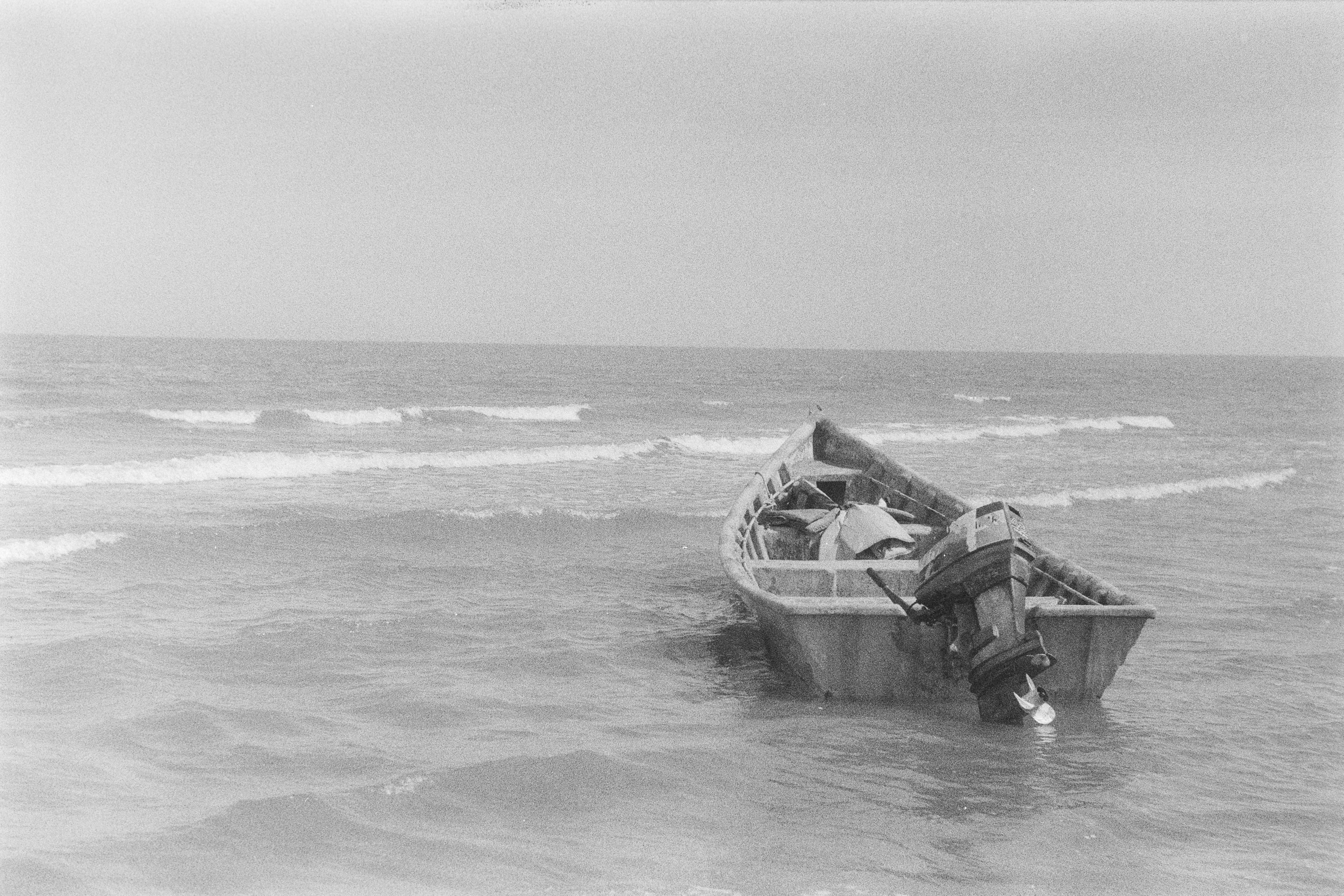 Photo by anitarahalzadeh