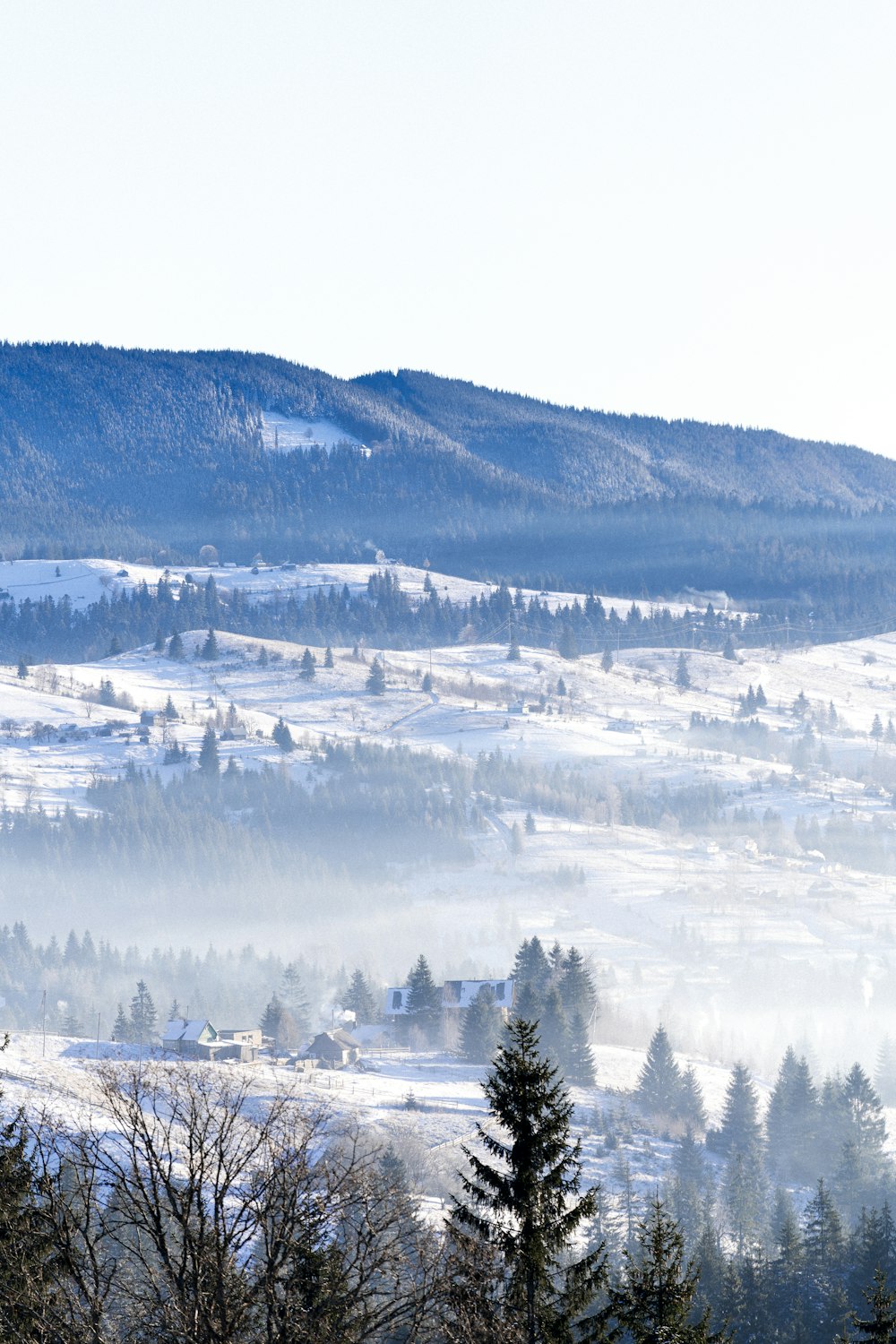 a view of a snowy mountain range with trees in the foreground