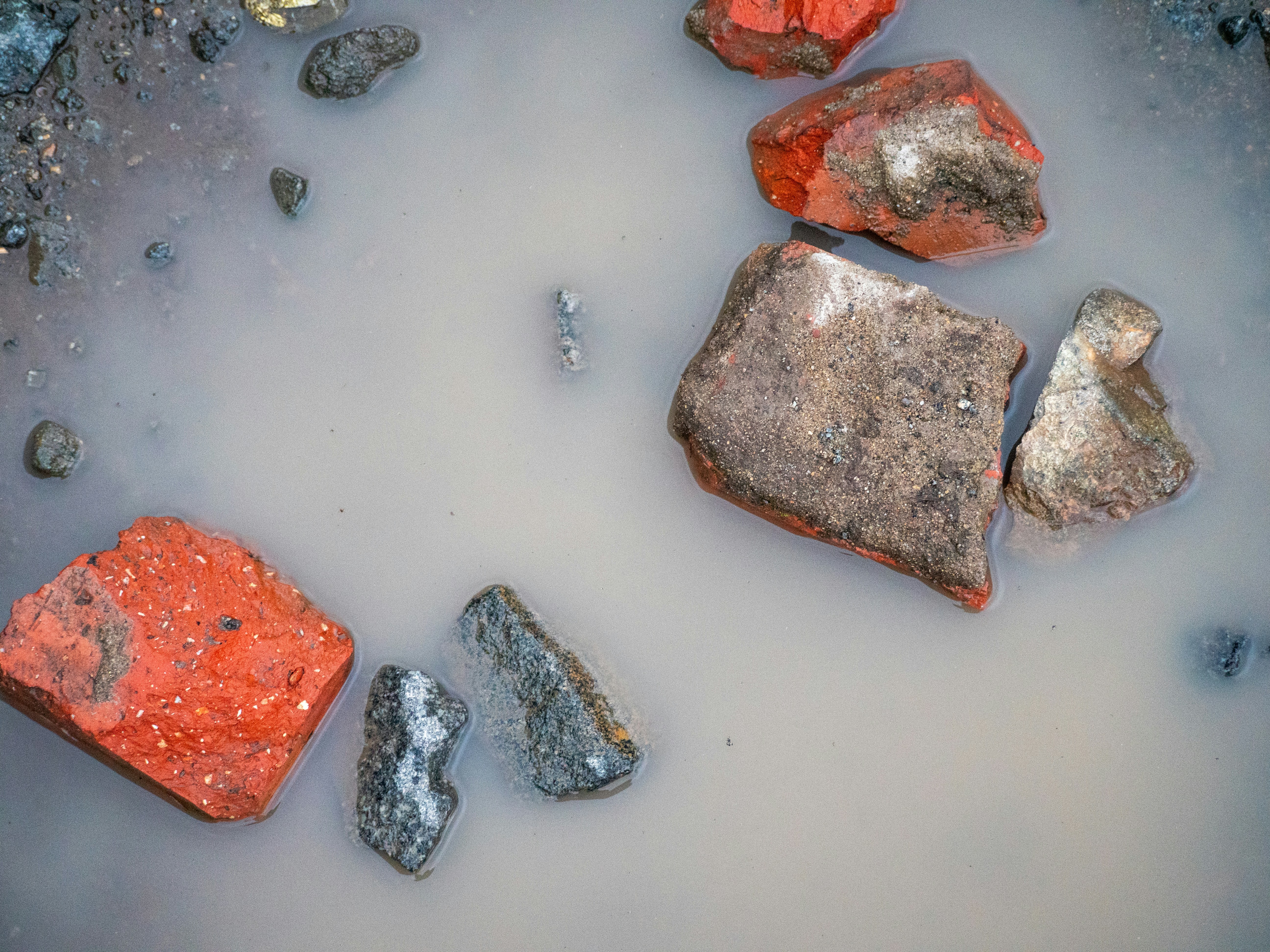 Photo by bengrayland