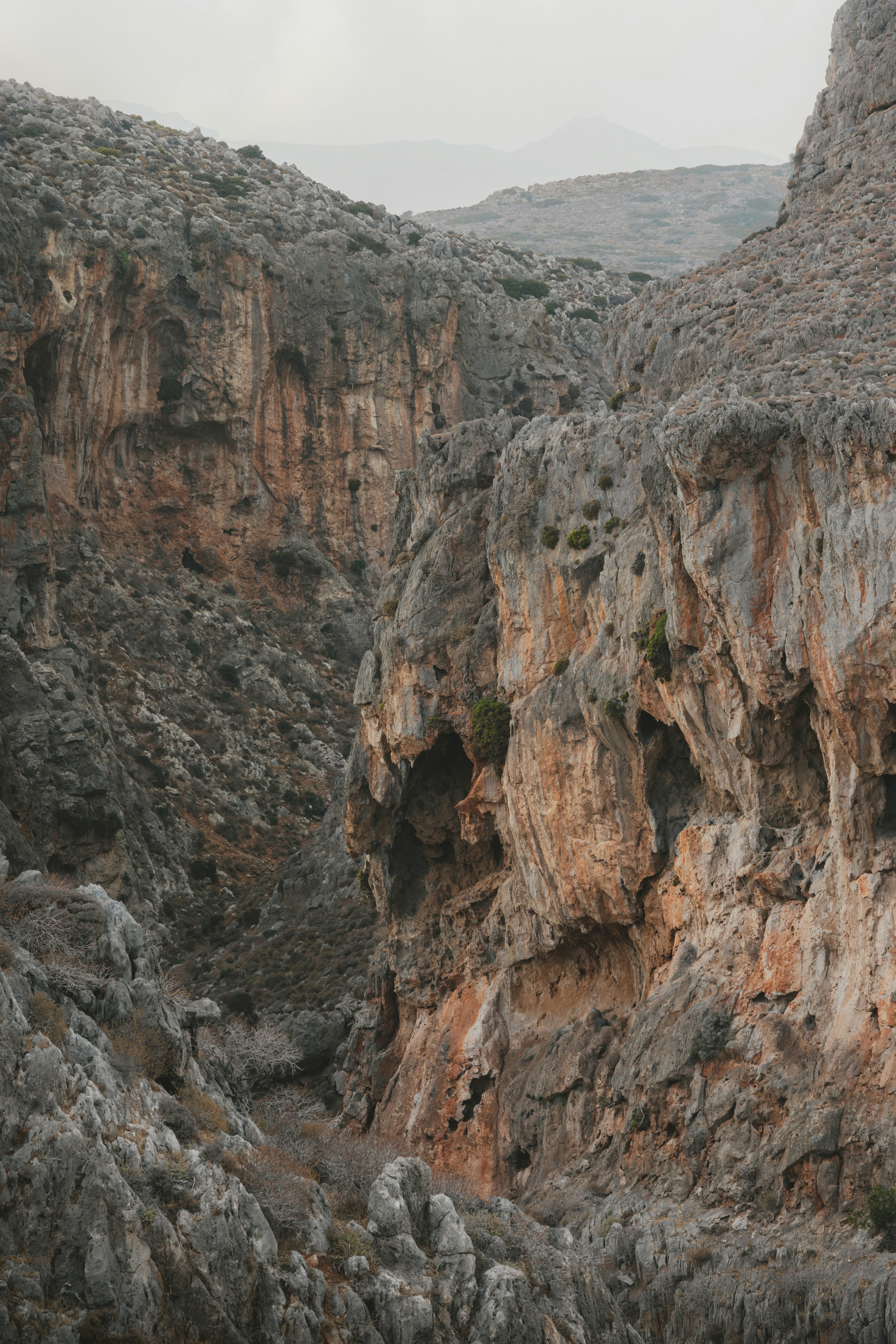 Photo by martin_masson