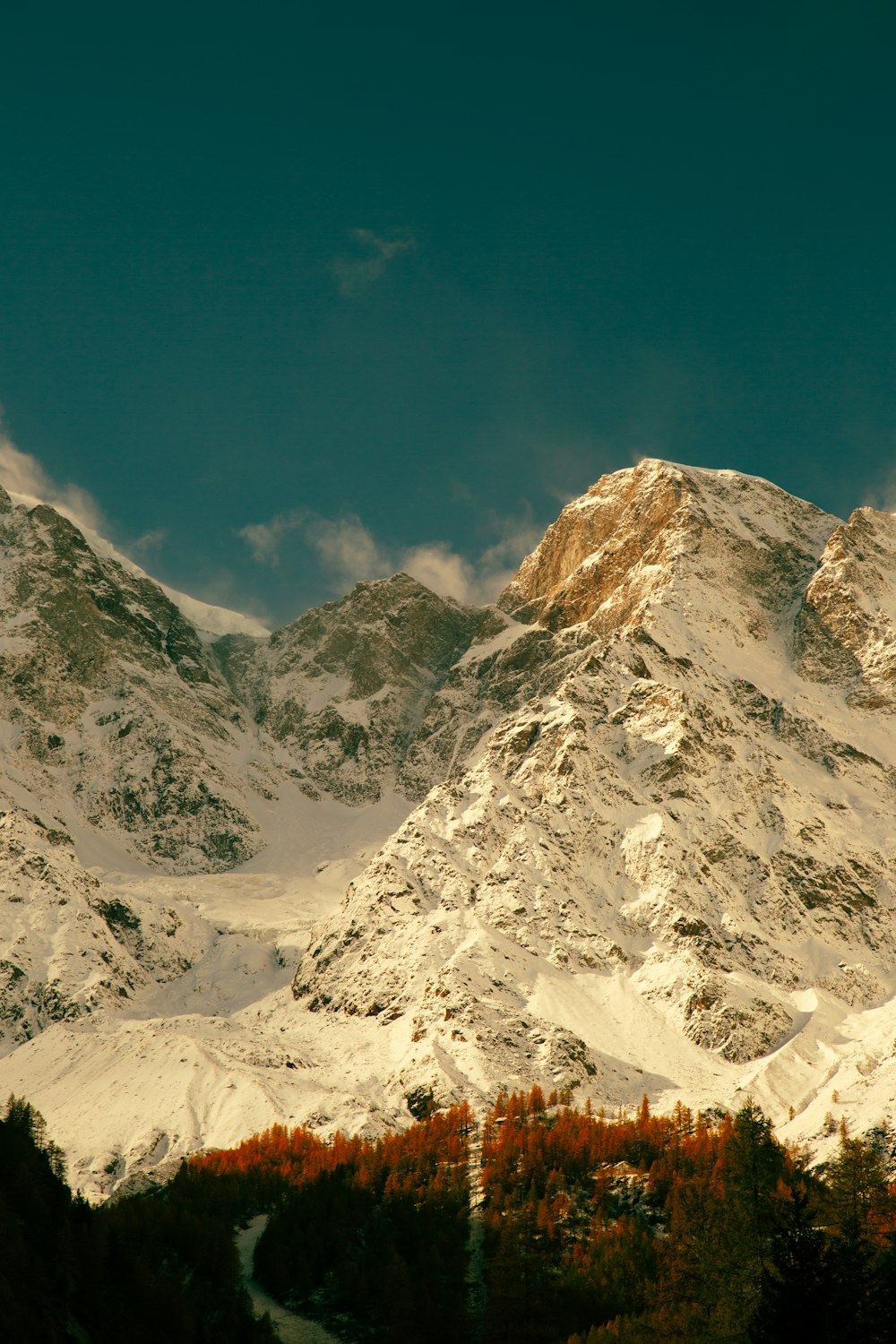 a snow covered mountain with trees in the foreground