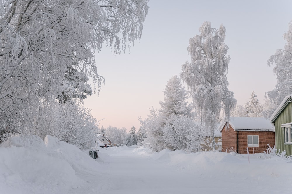 a snow covered road with a house in the background