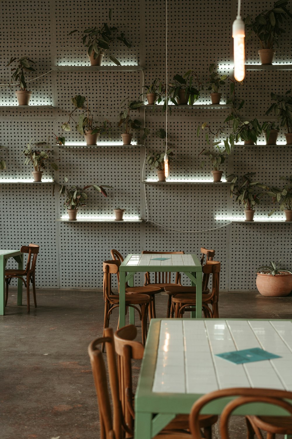 a restaurant with tables and chairs with plants on the wall