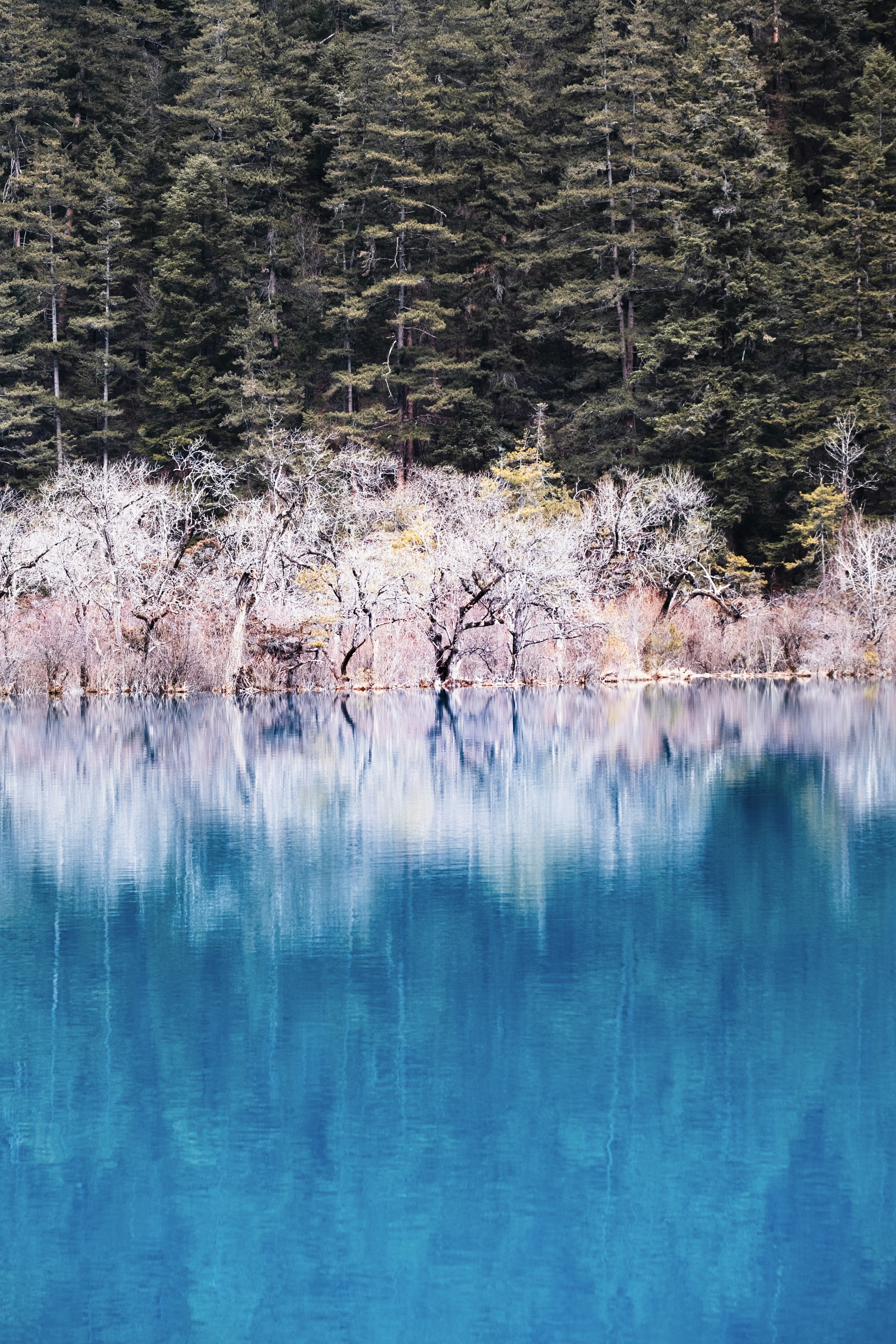 Photo by wenhao_ruan