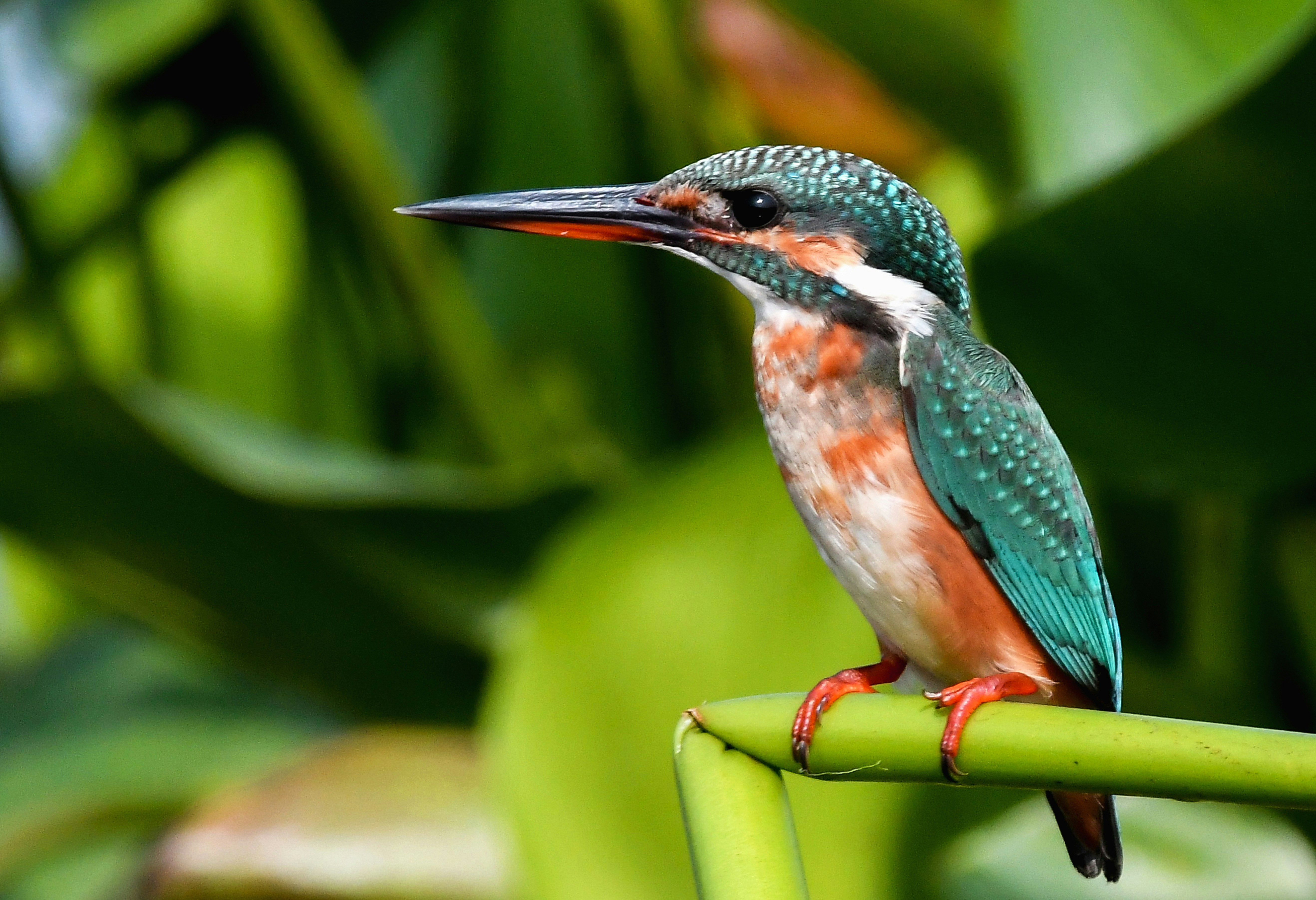 Photo by mhphotography13