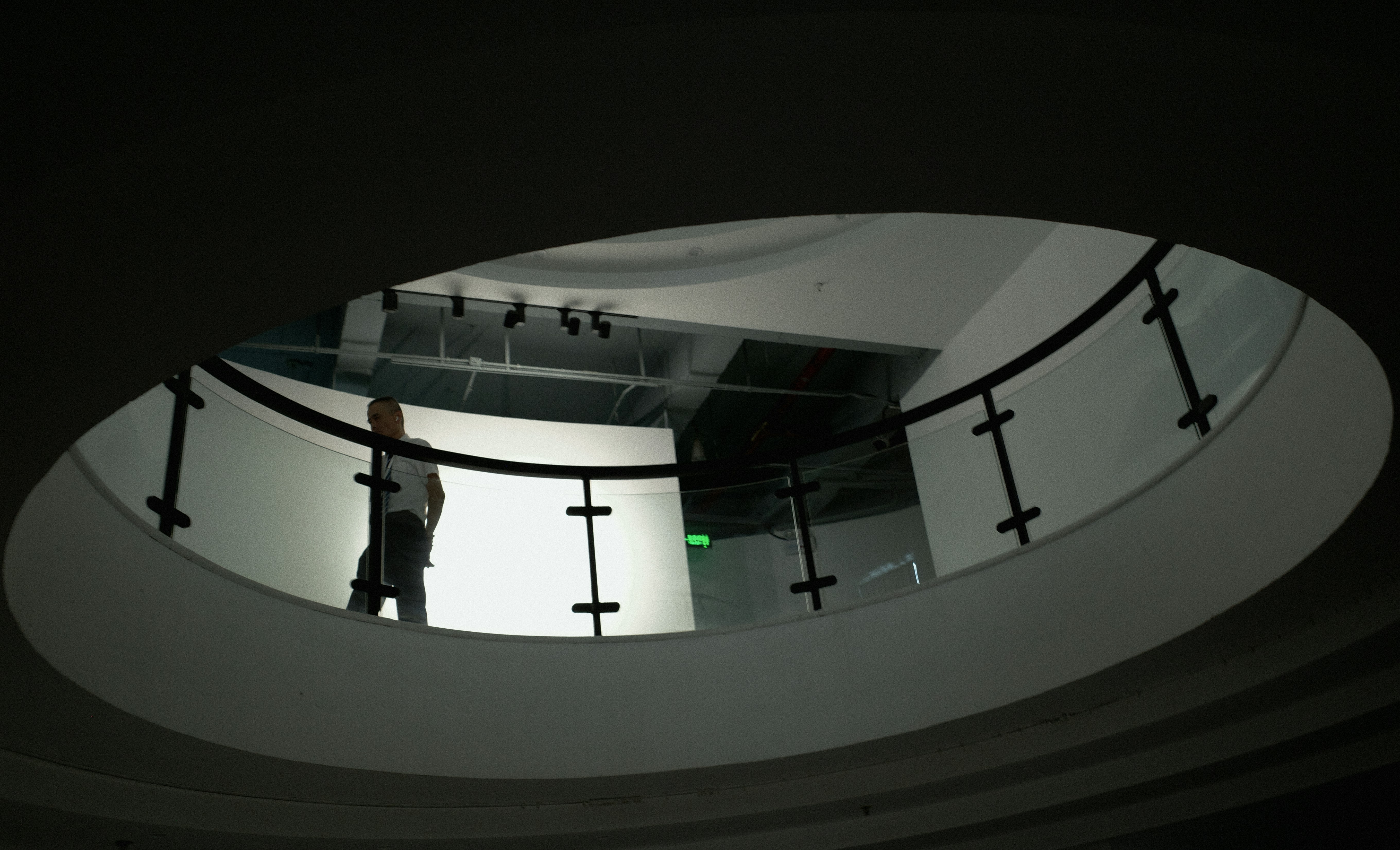 Exo Terra Digital Hygrometer placed inside a terrarium