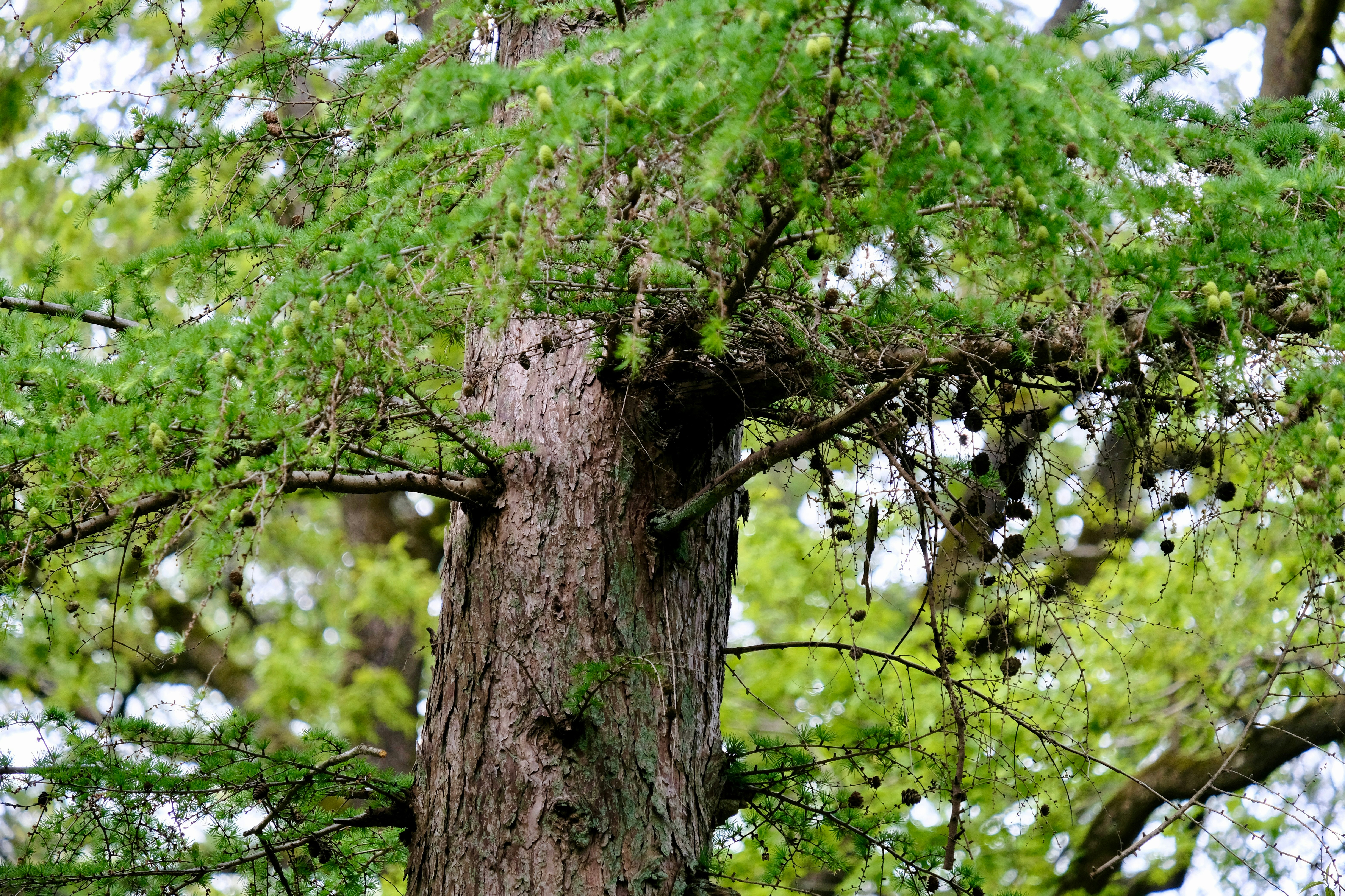 Photo by haberdoedas2