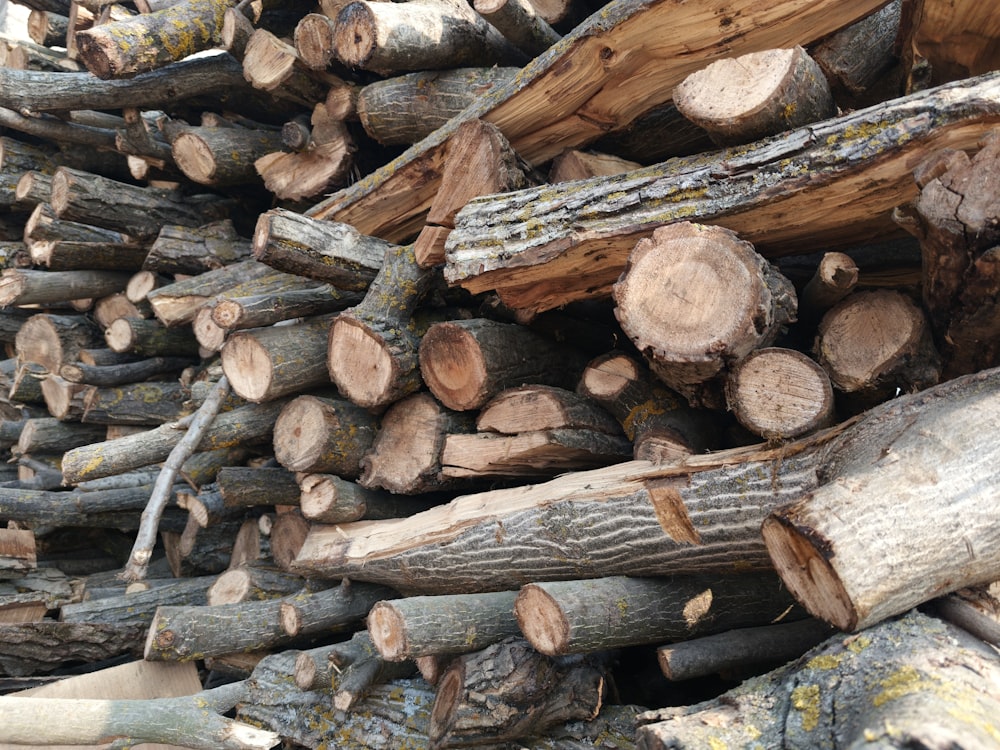 a pile of cut logs stacked on top of each other