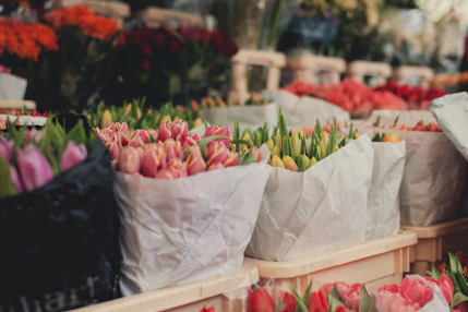 Tulpen in verschiedenen Farben stehen in einem Blumenladen