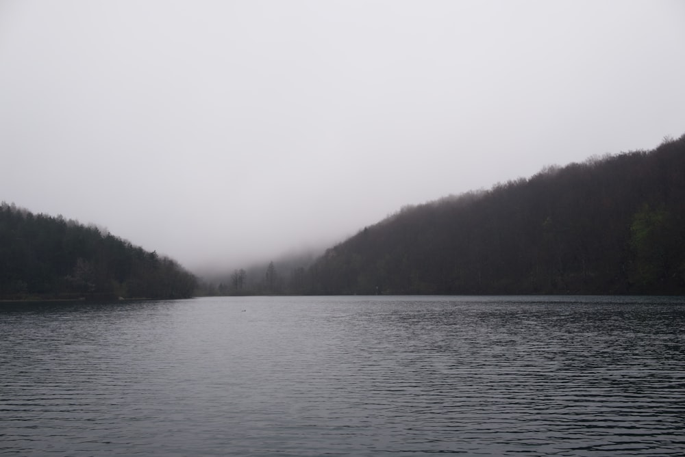 a body of water surrounded by a forest