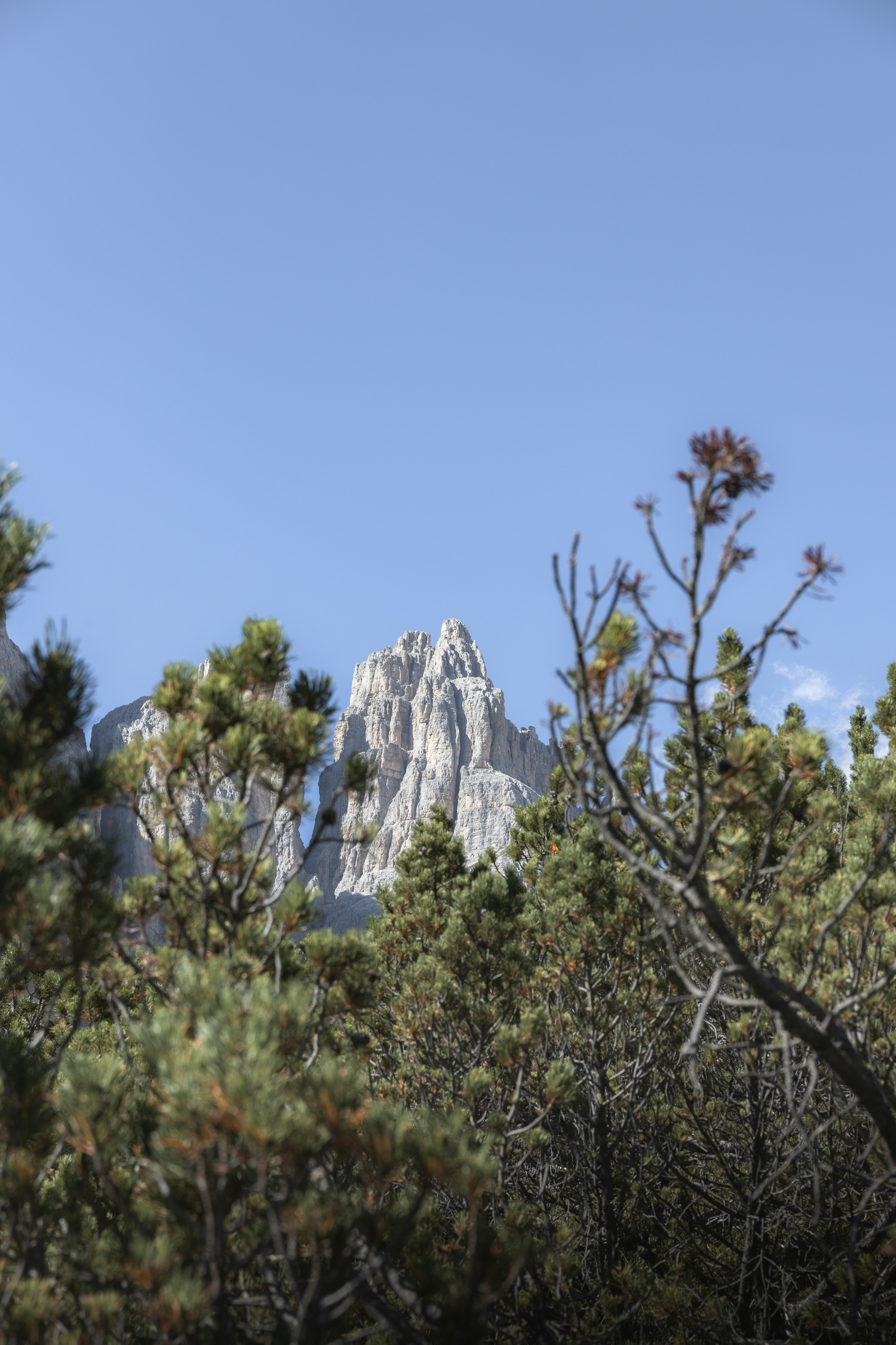 a view of a mountain through the trees