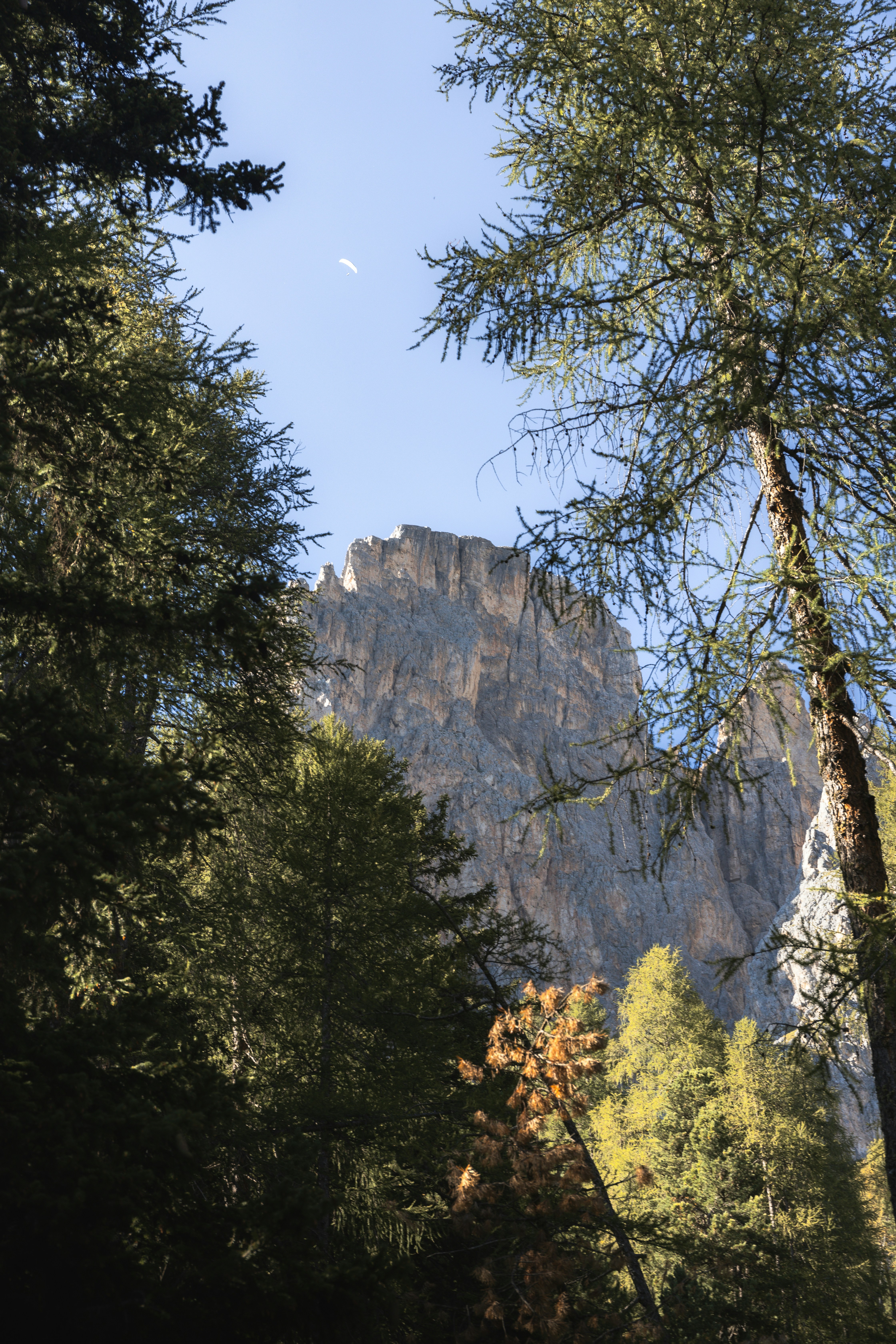 a tall mountain towering over a forest filled with trees