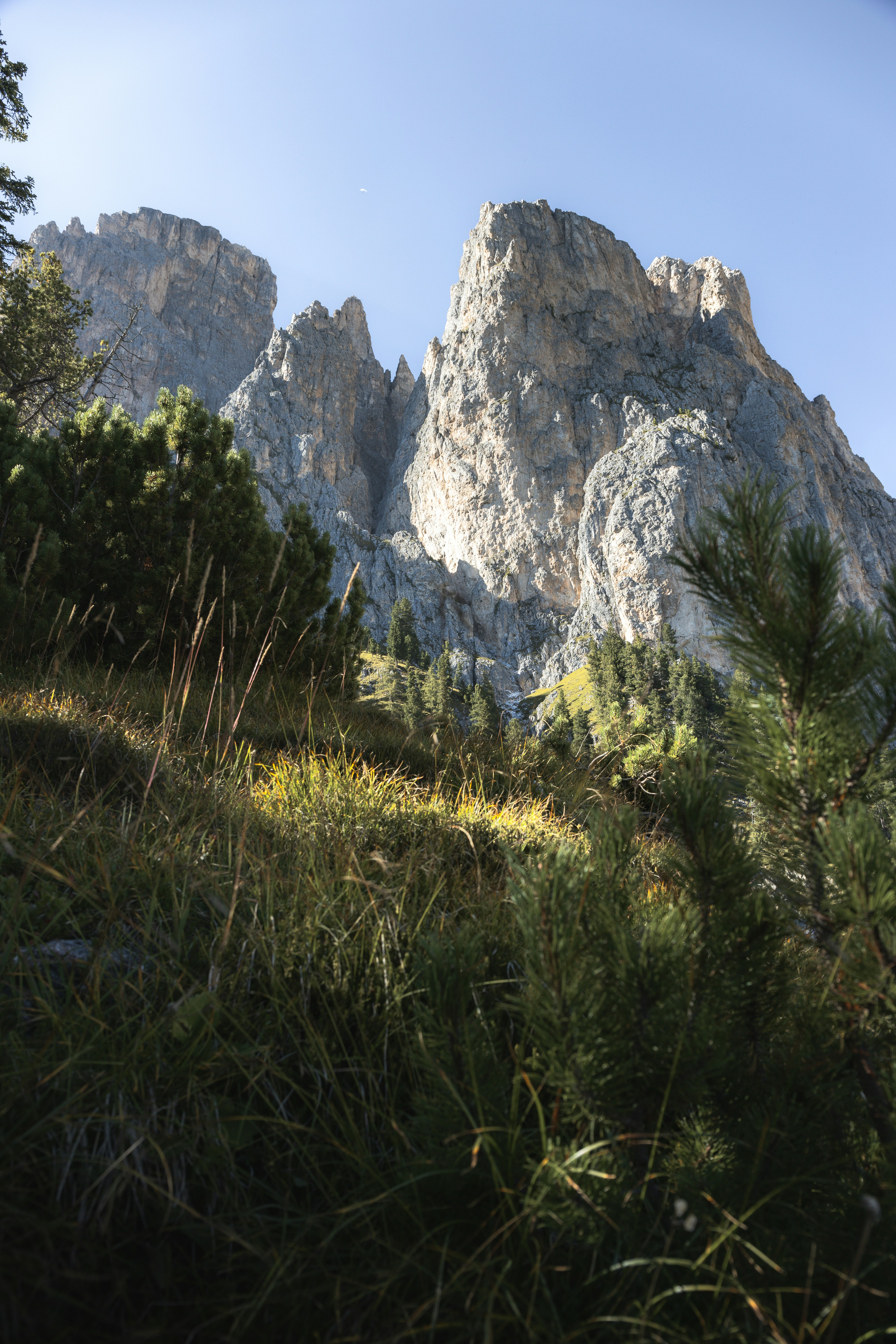 a rocky mountain with trees in the foreground