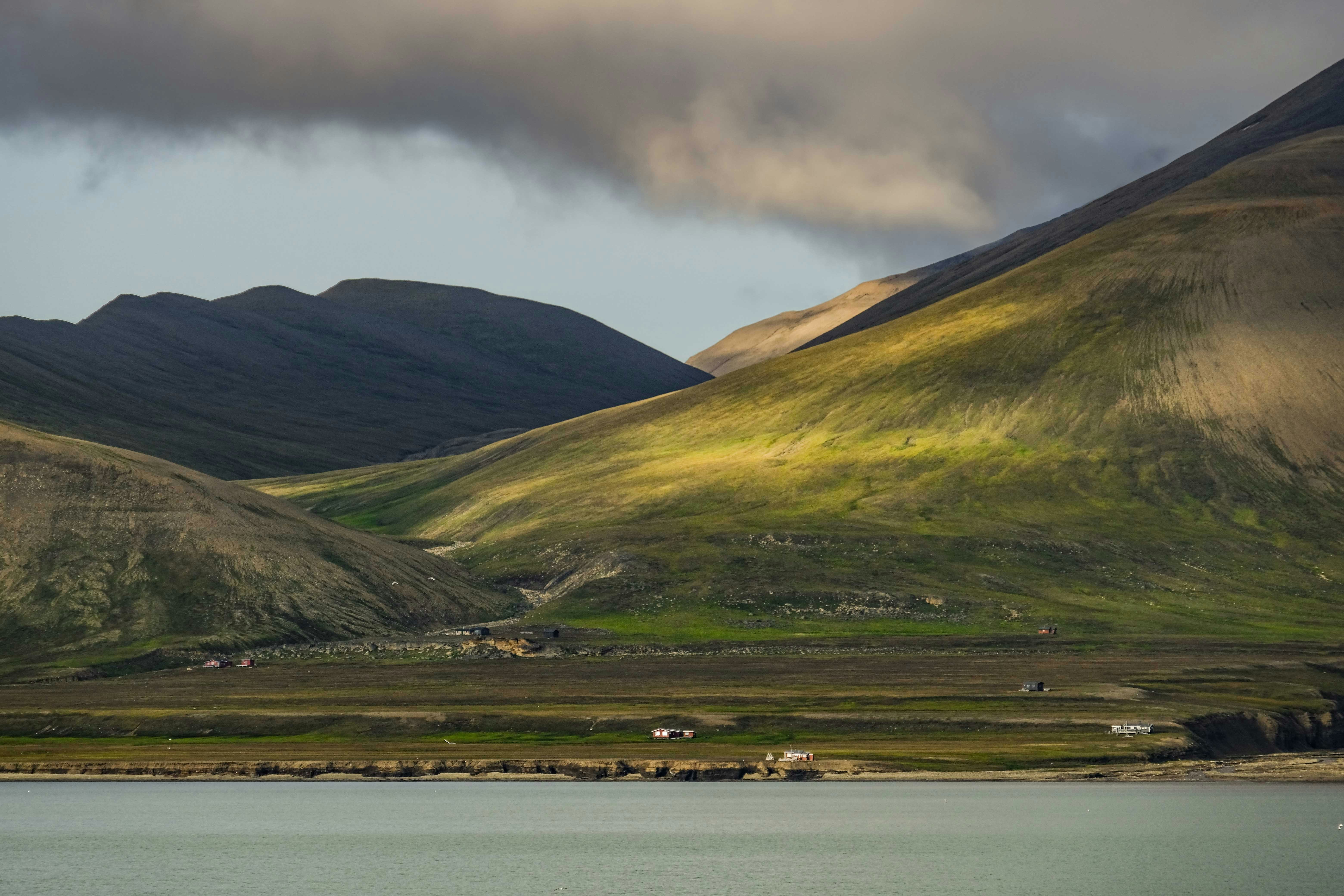 Photo by francesco_ungaro