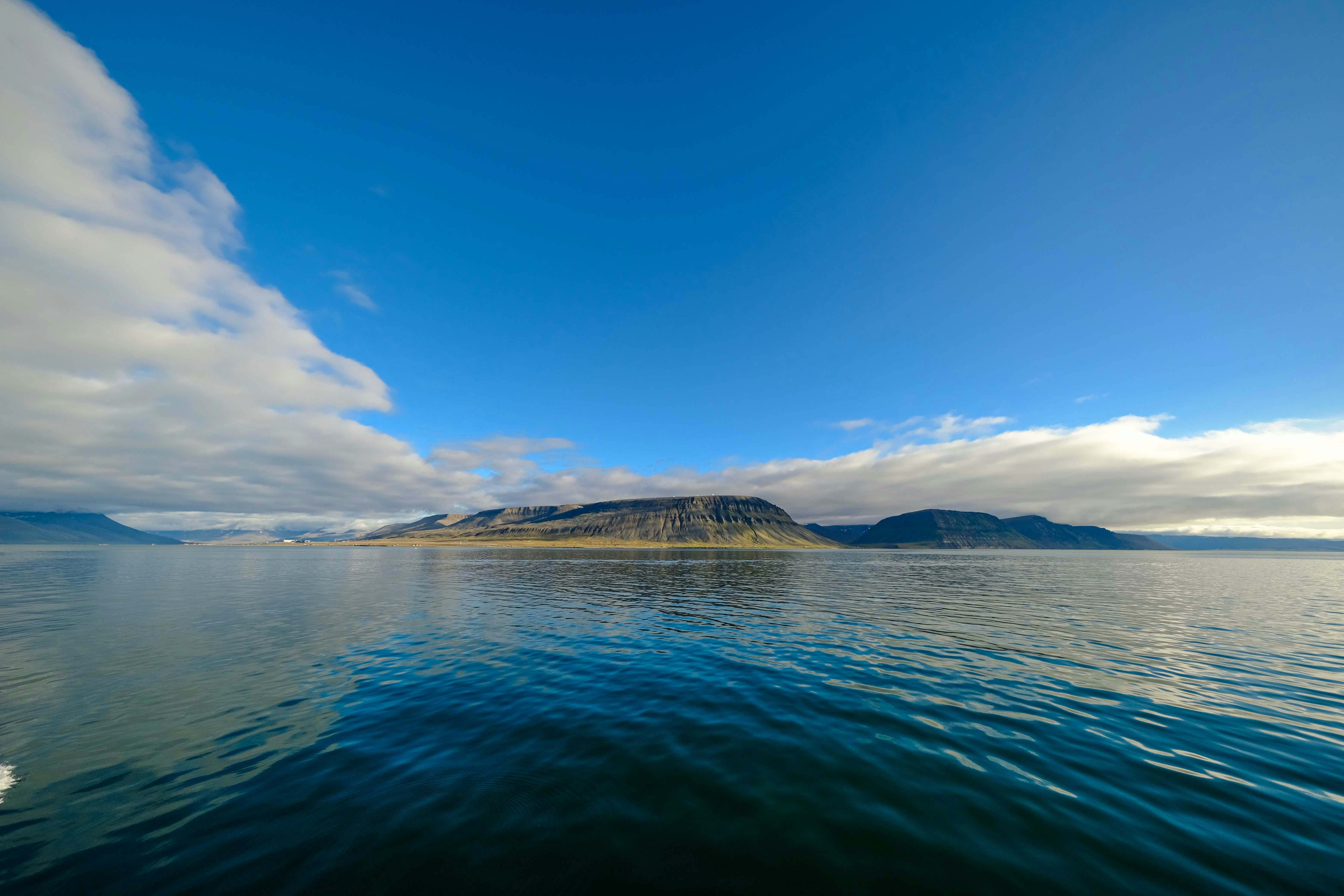 Photo by francesco_ungaro