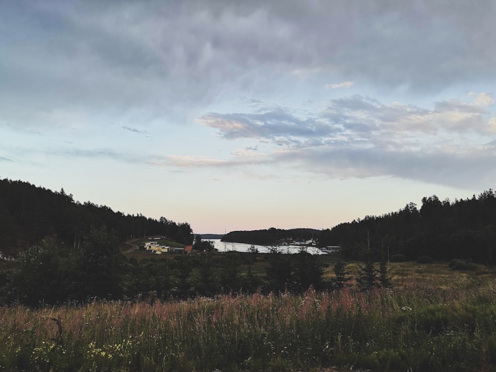 a field with a lake in the middle of it