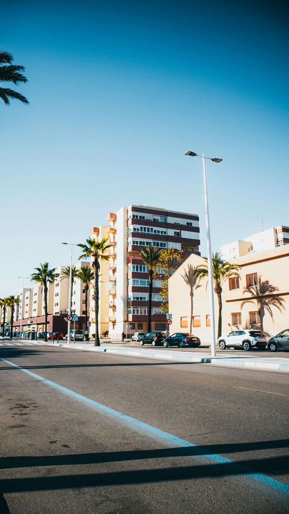 a city street with palm trees and tall buildings