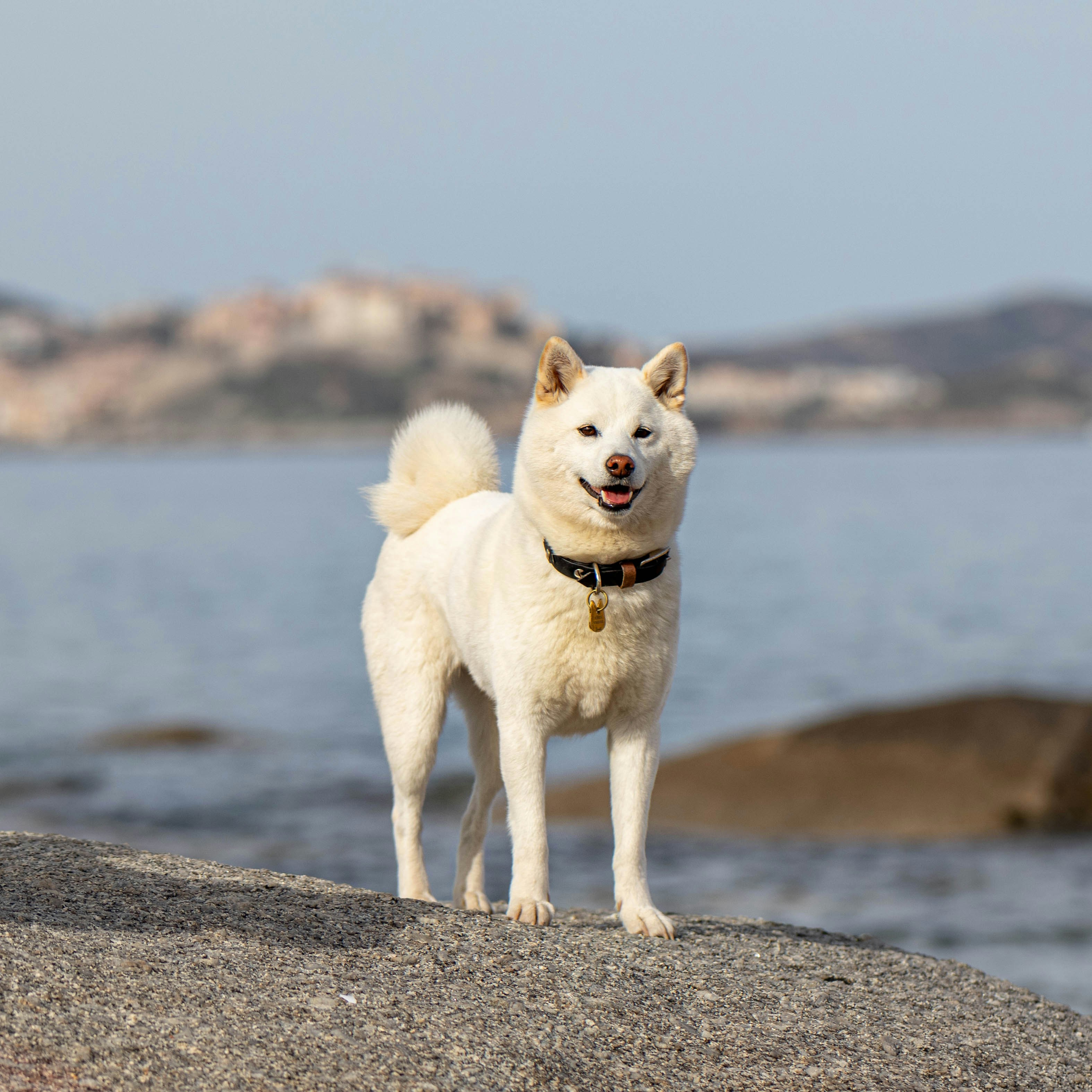 Photo by leajourniac