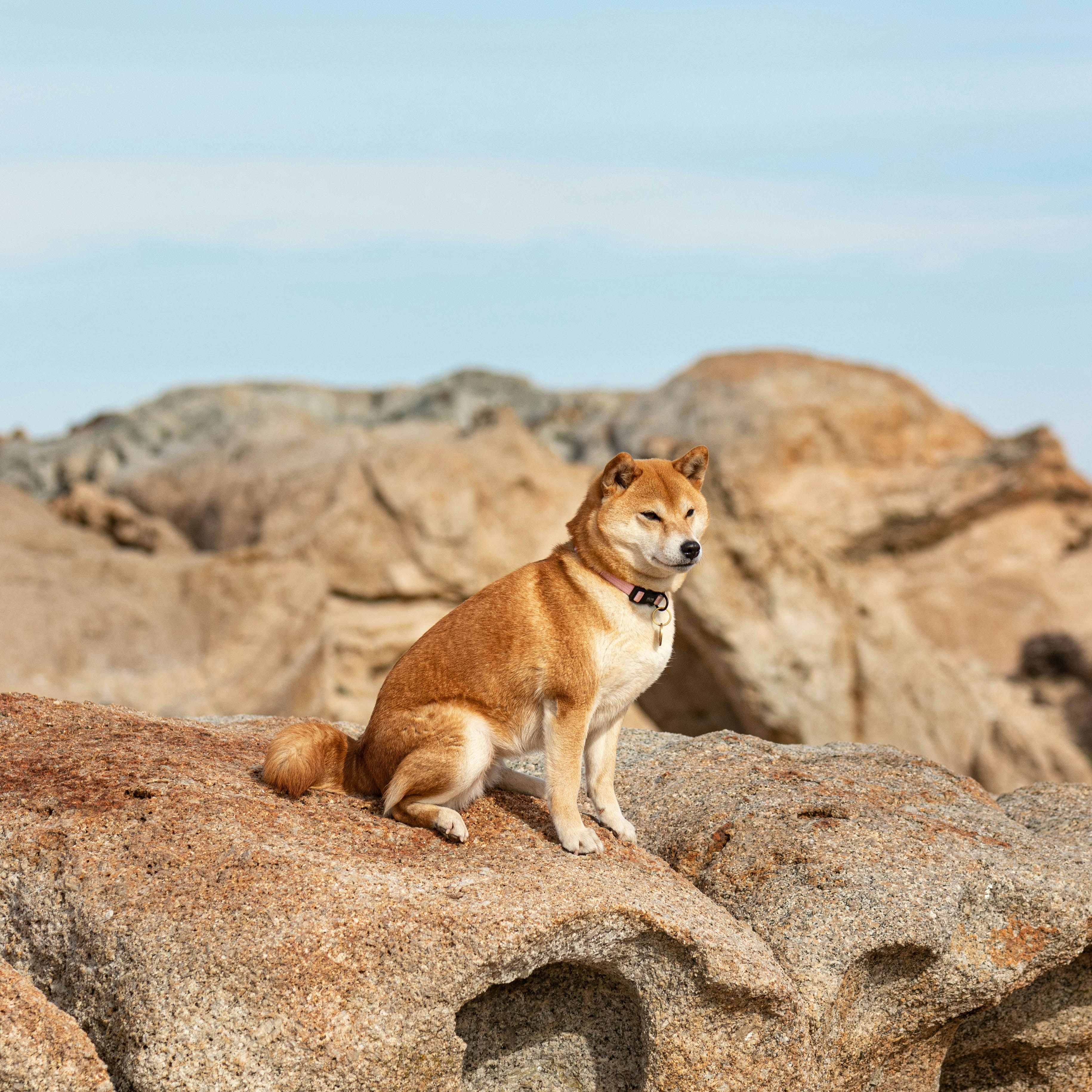 Photo by leajourniac