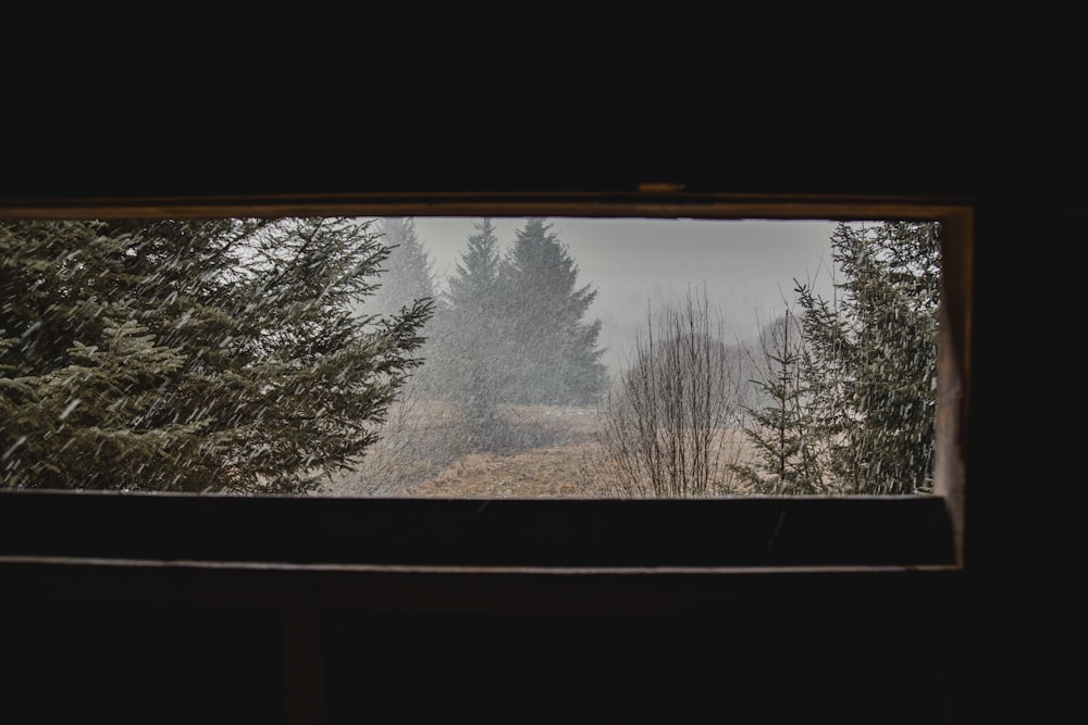 a window with a view of a field and trees
