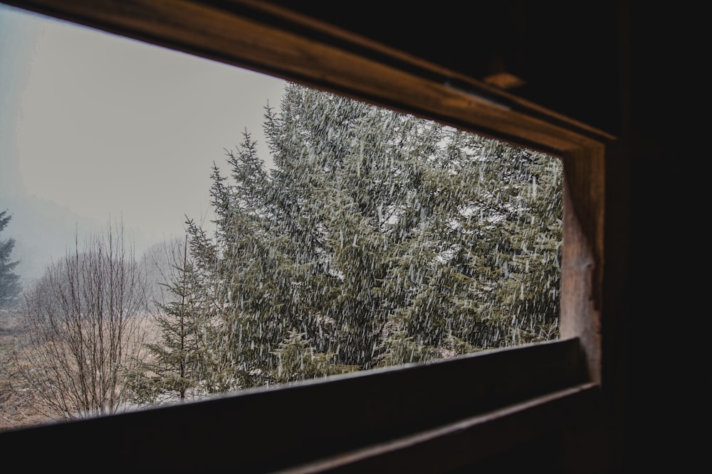 a window with a view of a snowy forest