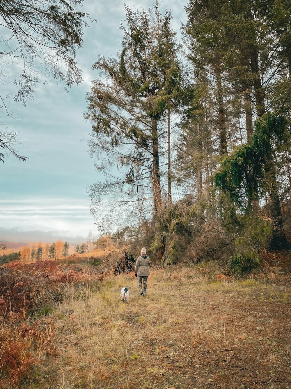 a person walking a dog in a field