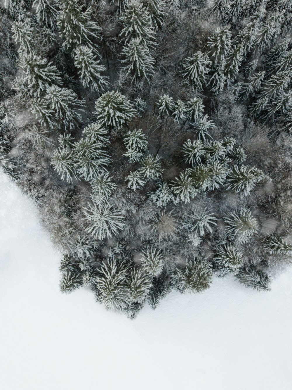 an aerial view of a snow covered pine tree