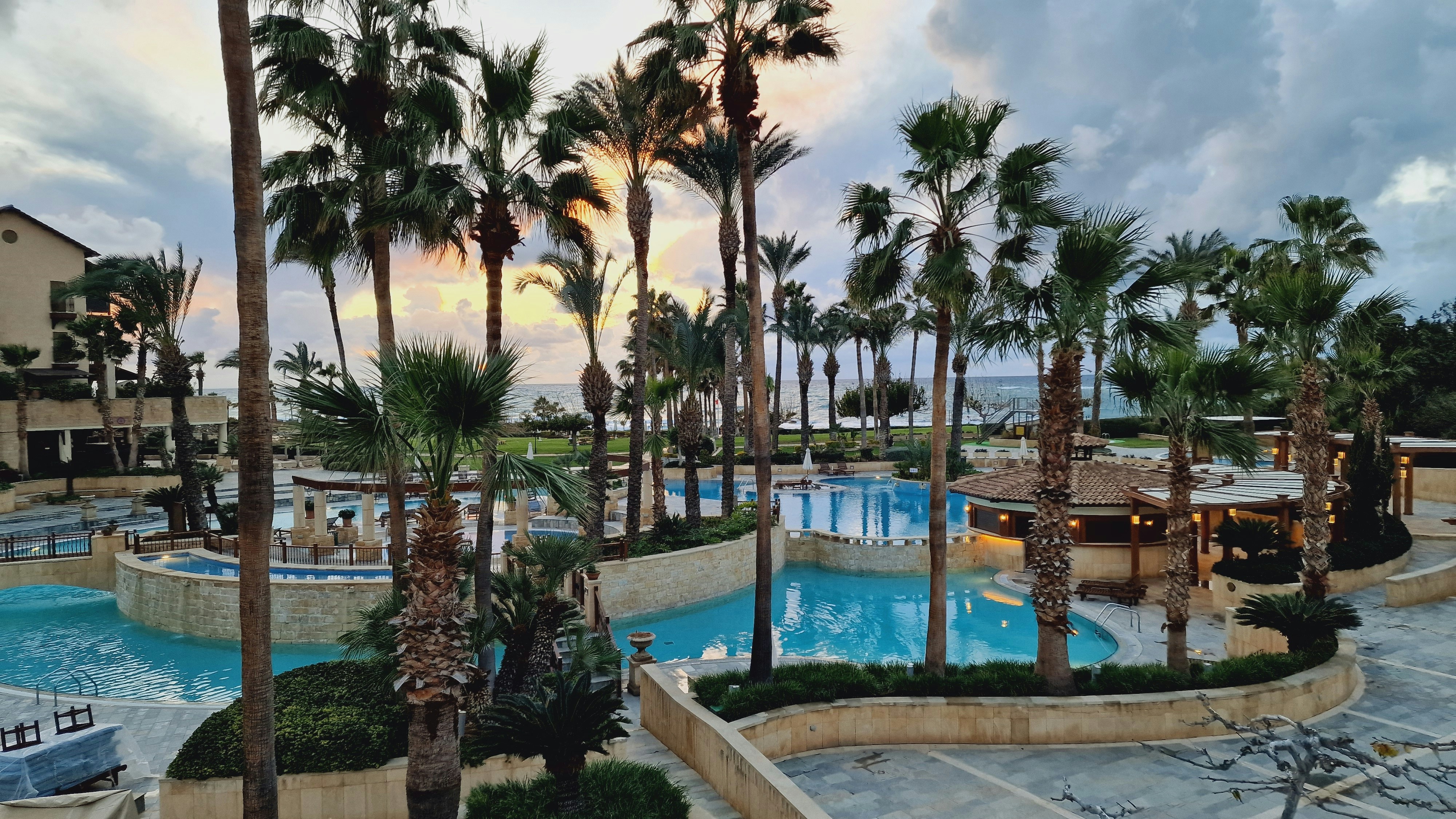 Luxury pool surrounded by tropical palms at sunset