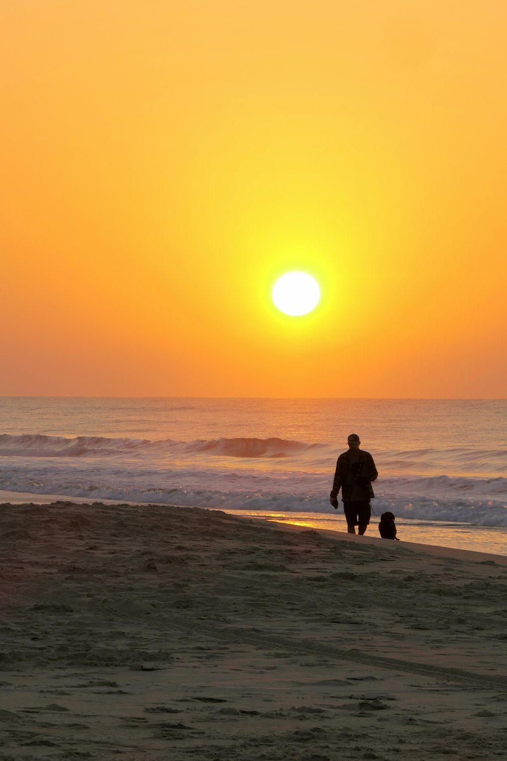 a man and a dog walking on the beach at sunset