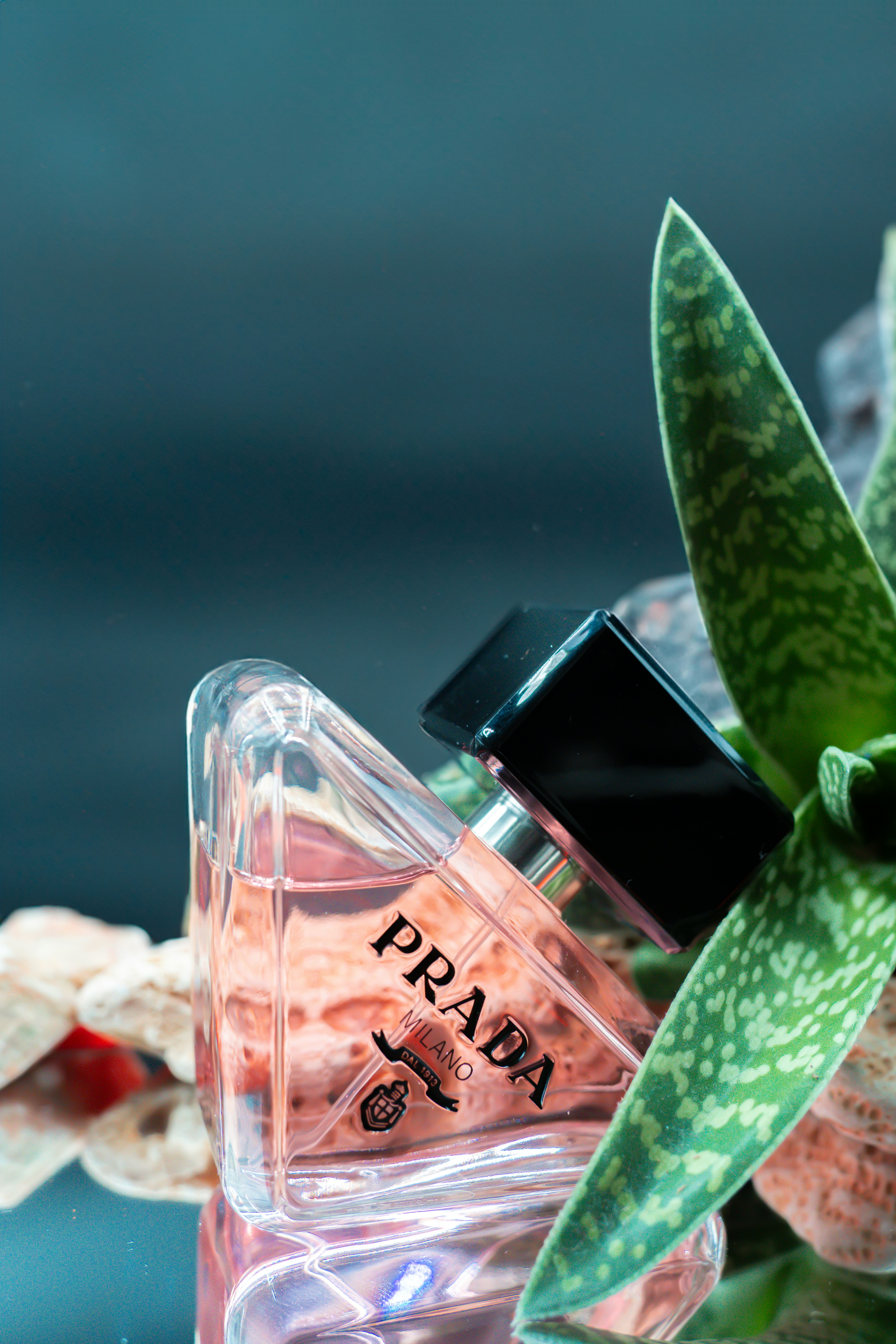 a bottle of prada next to a plant