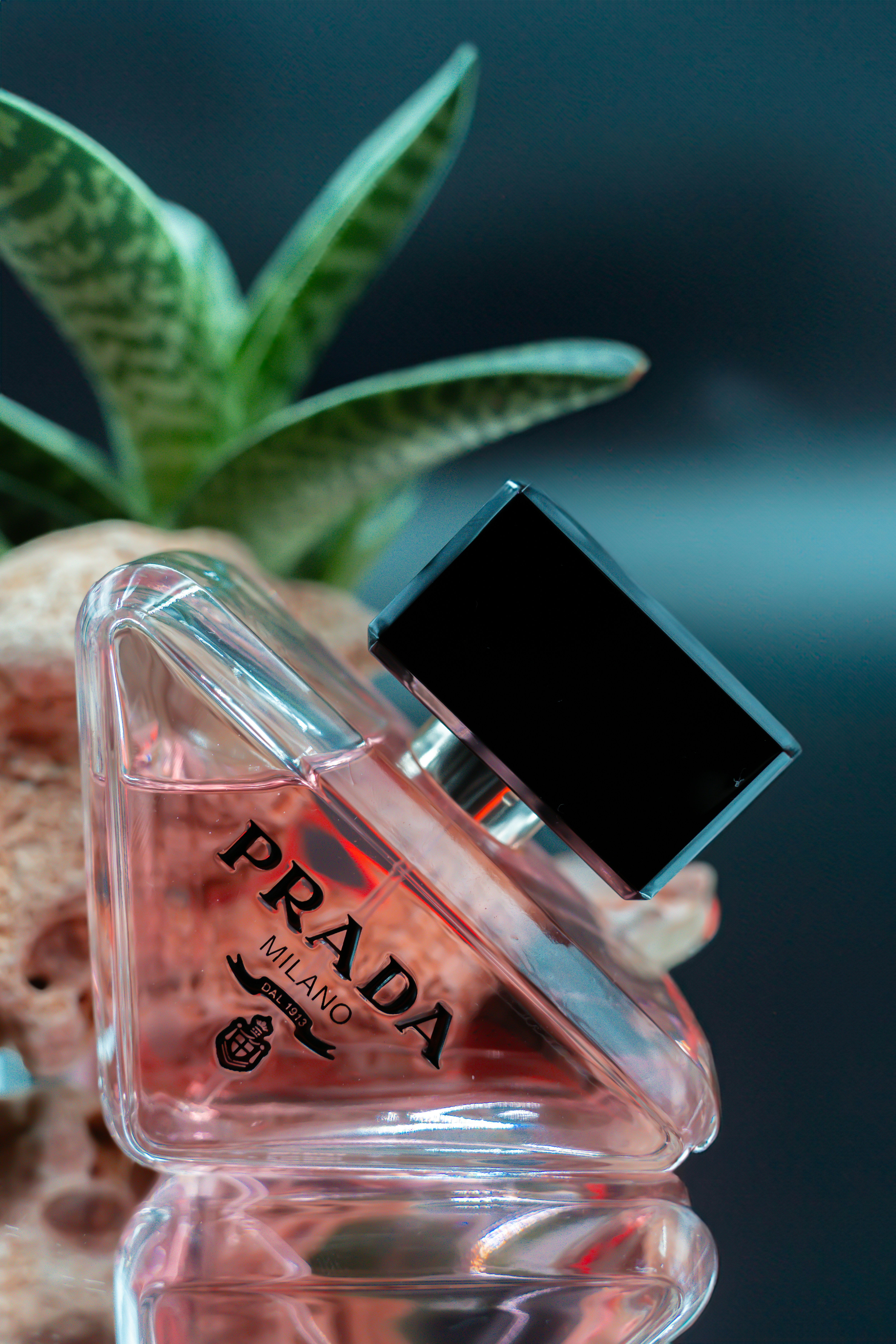 a bottle of perfume sitting on top of a rock
