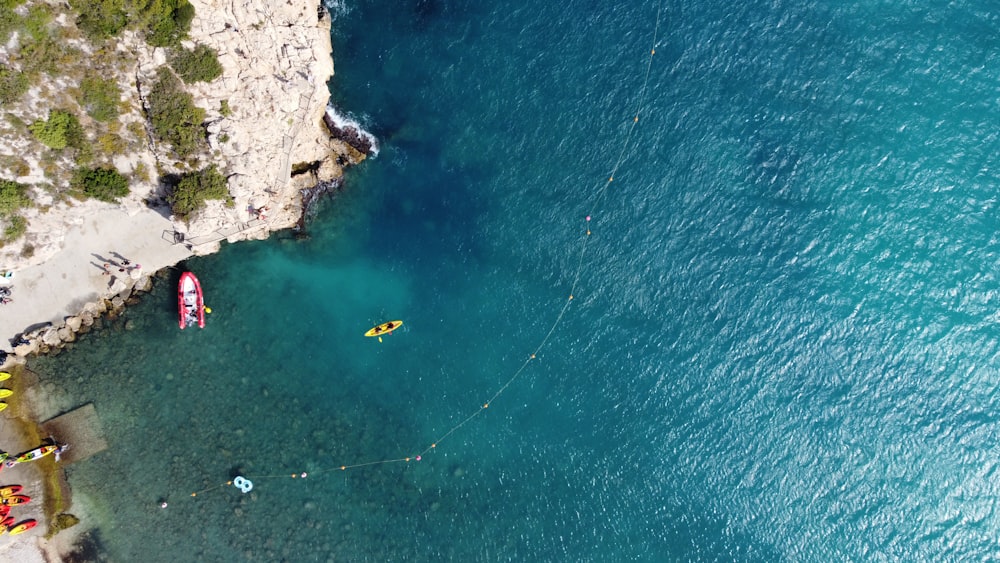 a group of people parasailing in the ocean