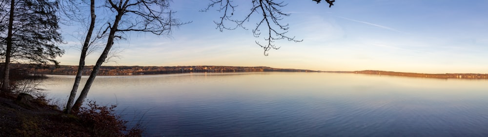 a large body of water surrounded by trees