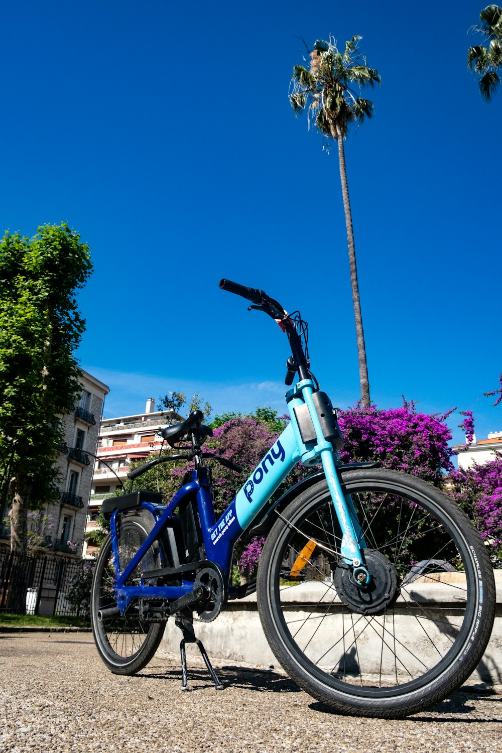 a blue bicycle parked in front of a palm tree