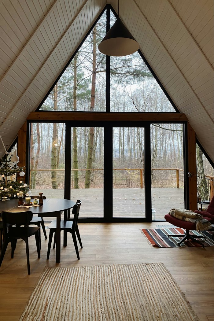 Salon de chalet avec foyer