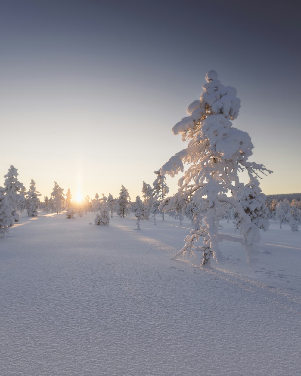the sun is setting over a snowy landscape