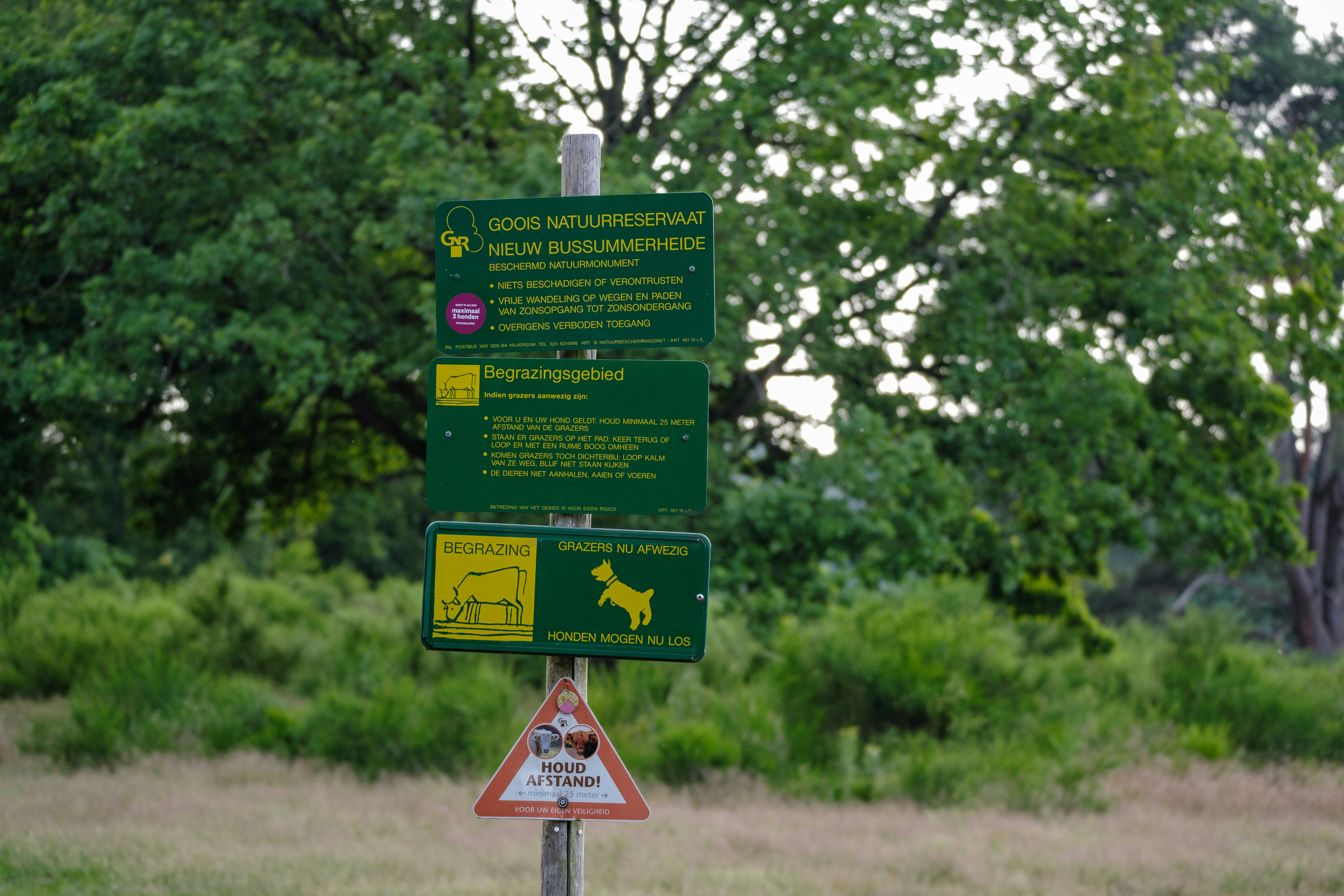 Afbeelding van Huizen