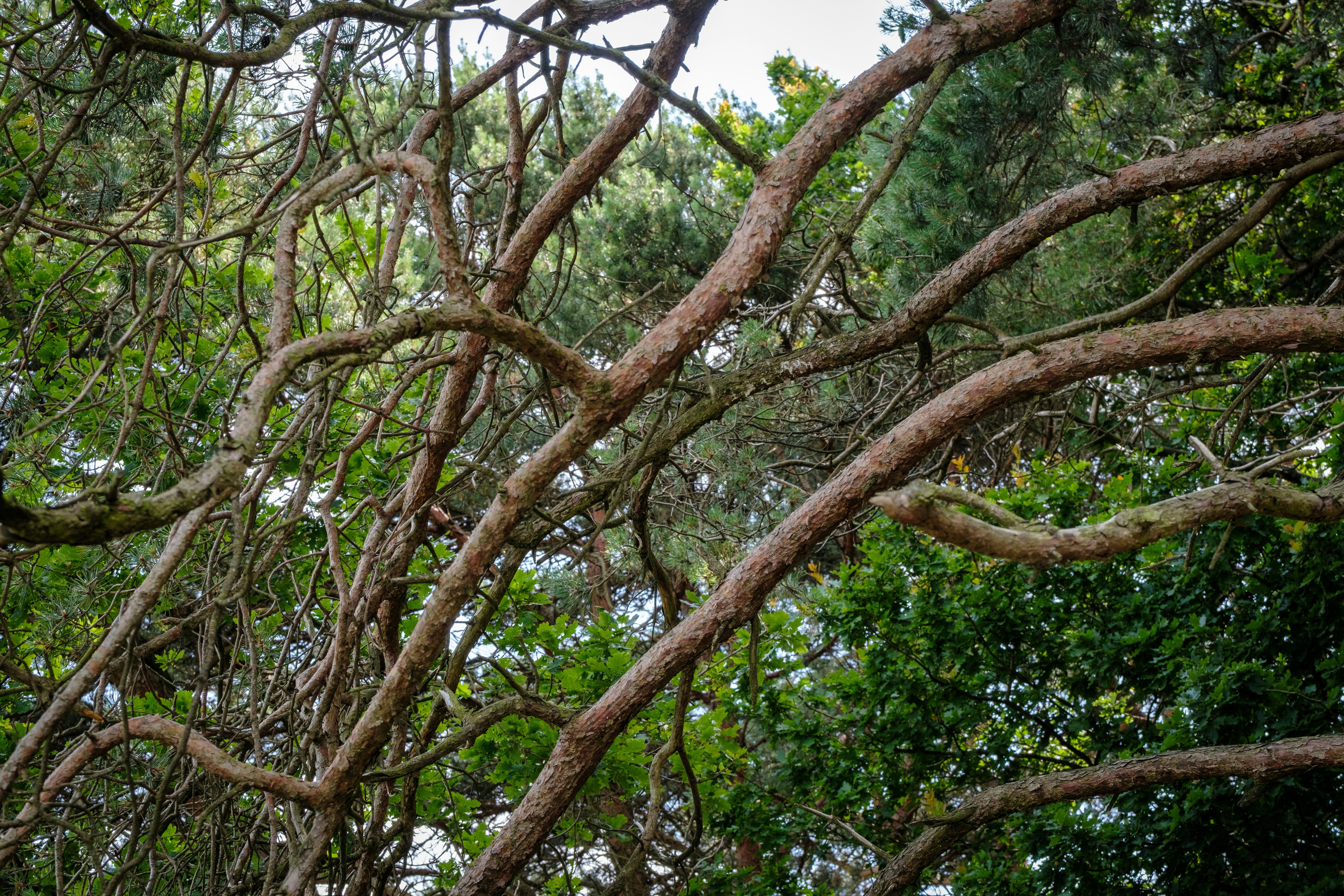 It's getting complicated..