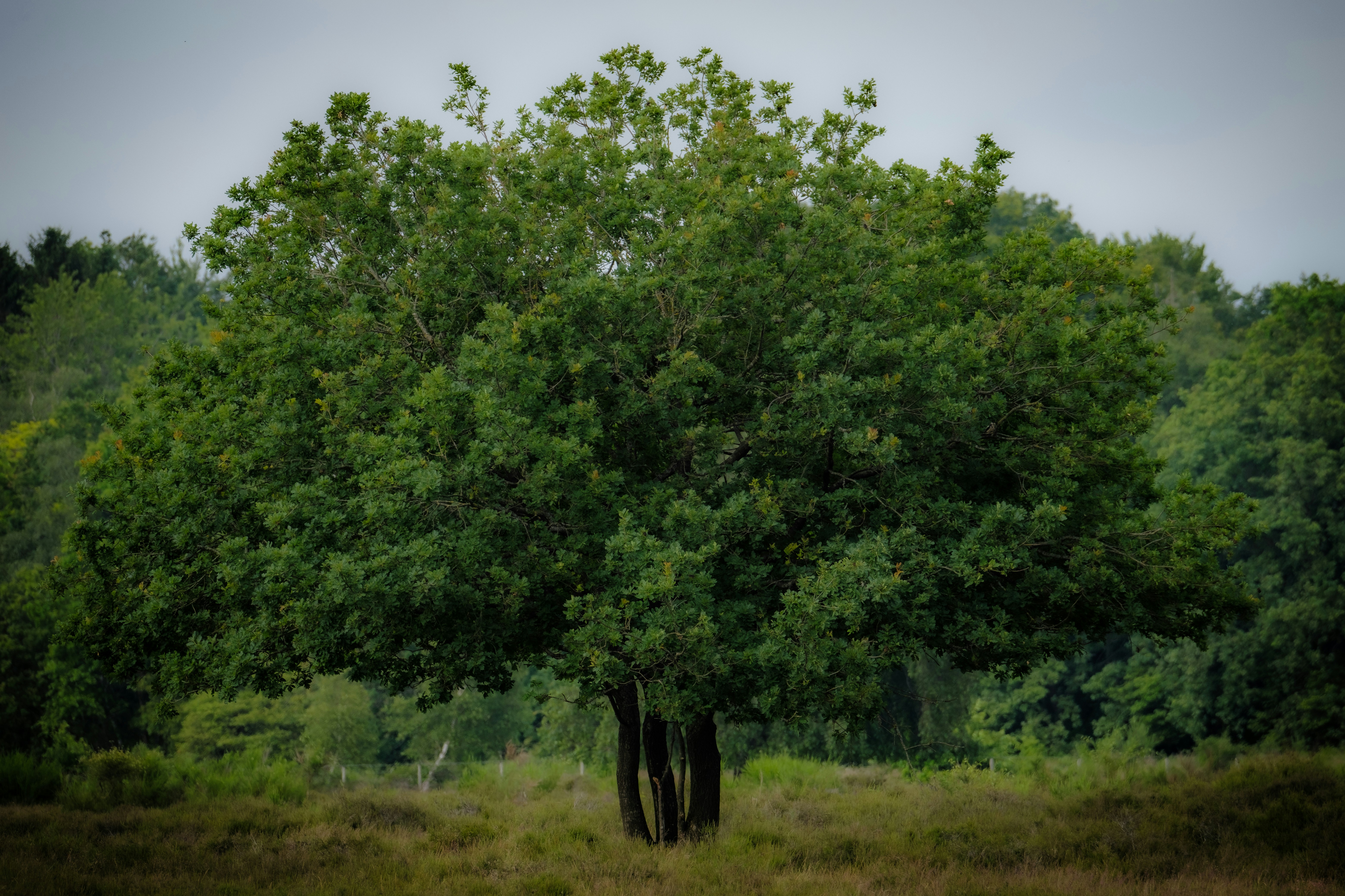 Photo by haberdoedas2