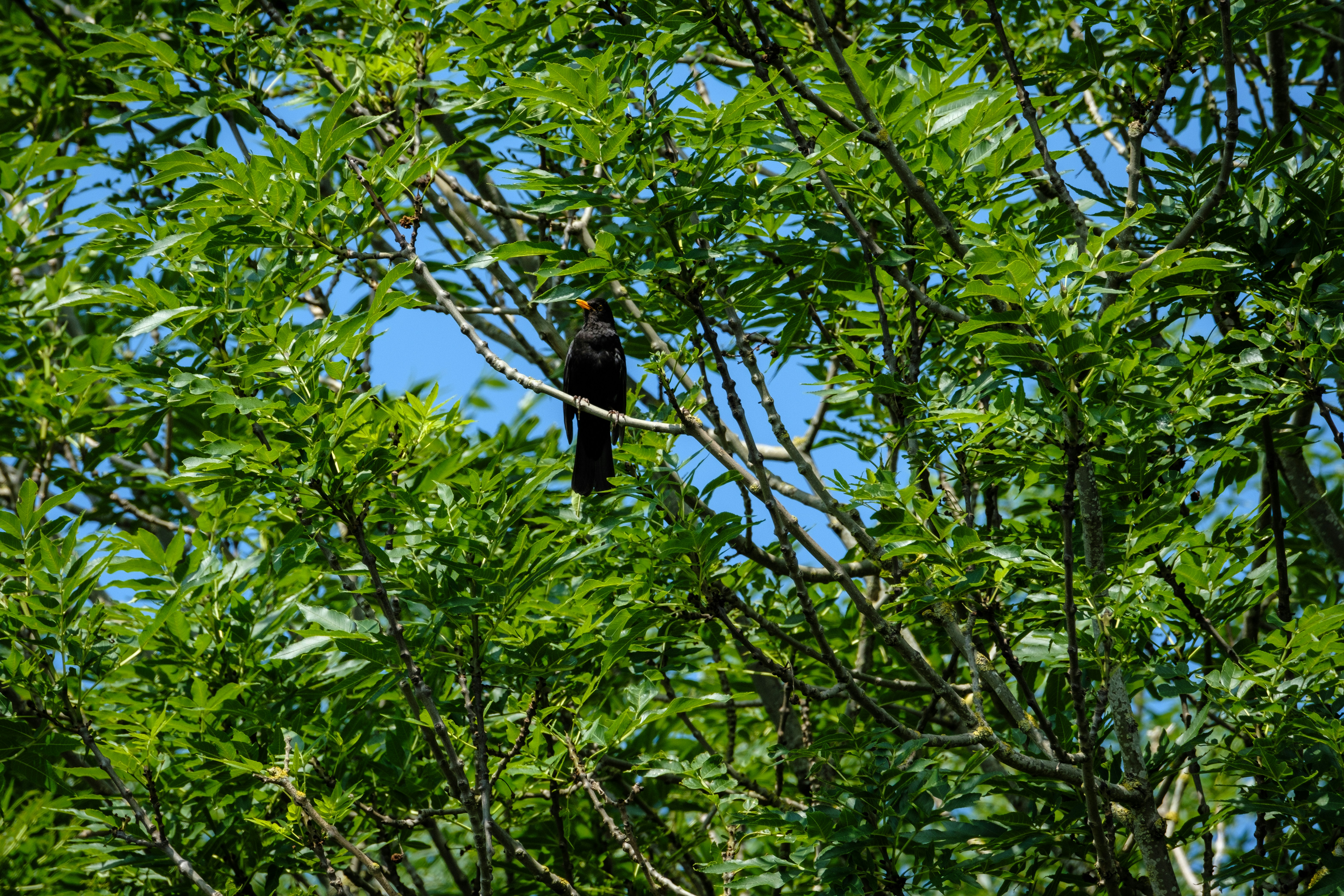 Photo by haberdoedas2