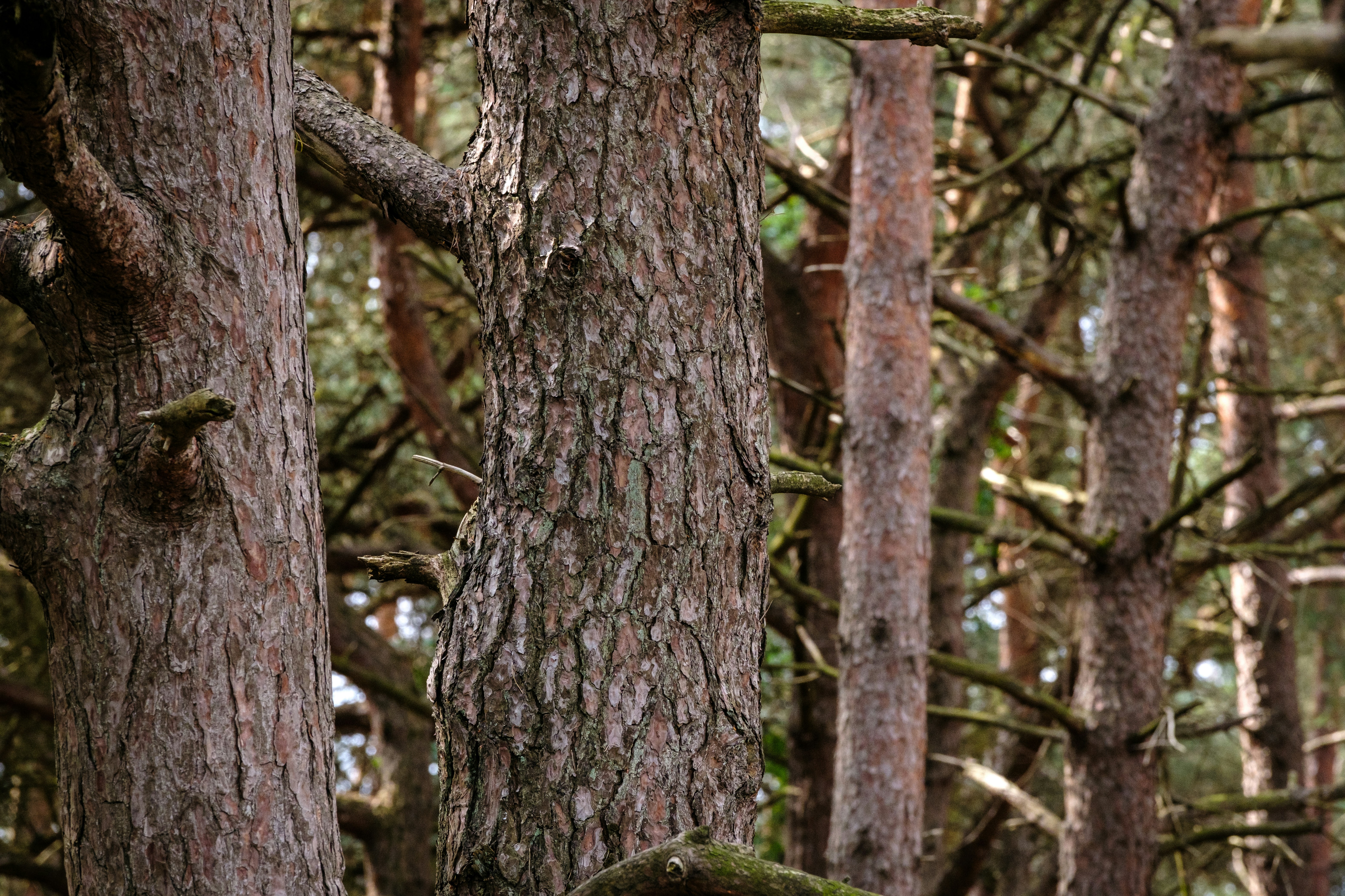 Photo by haberdoedas2