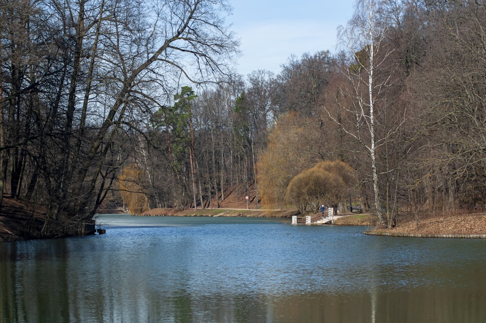 a large body of water surrounded by trees