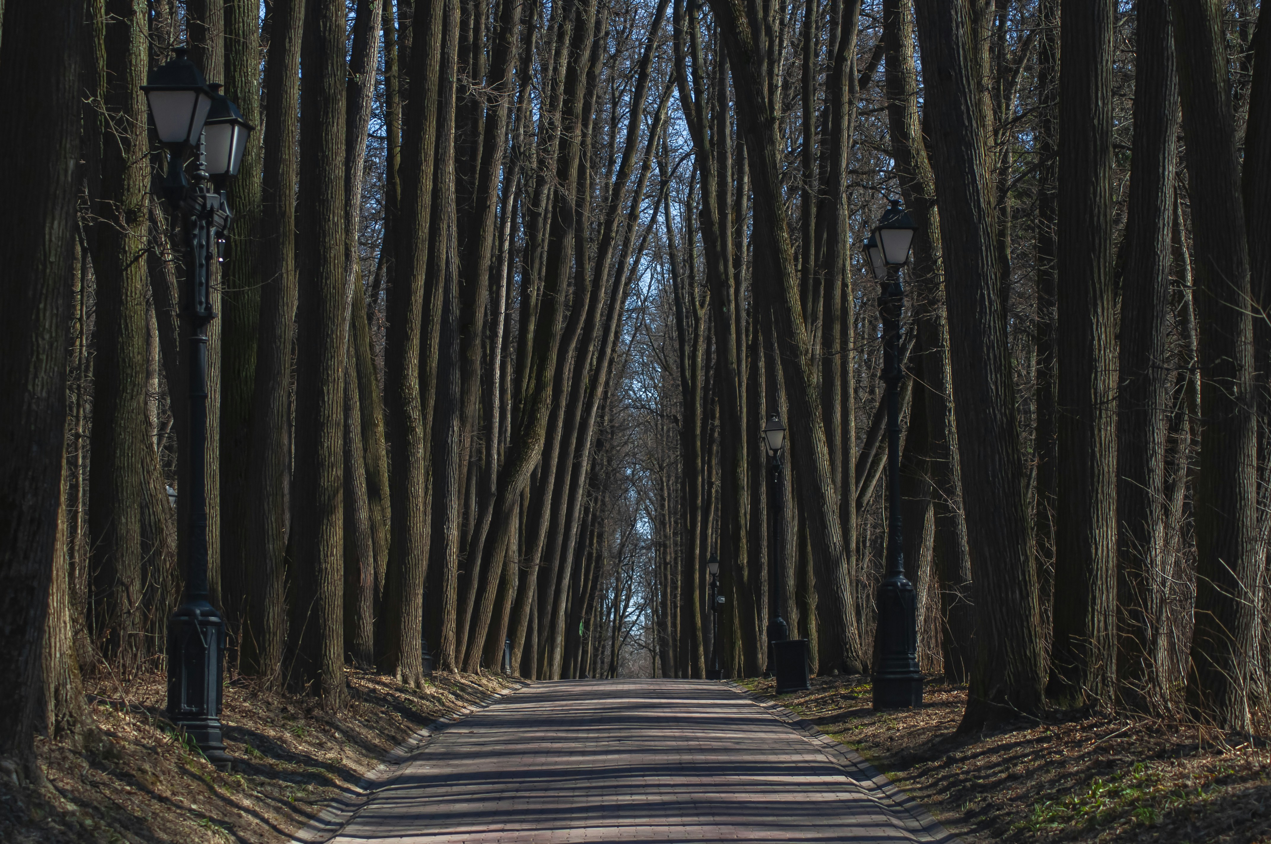 Photo by nikkitenkos