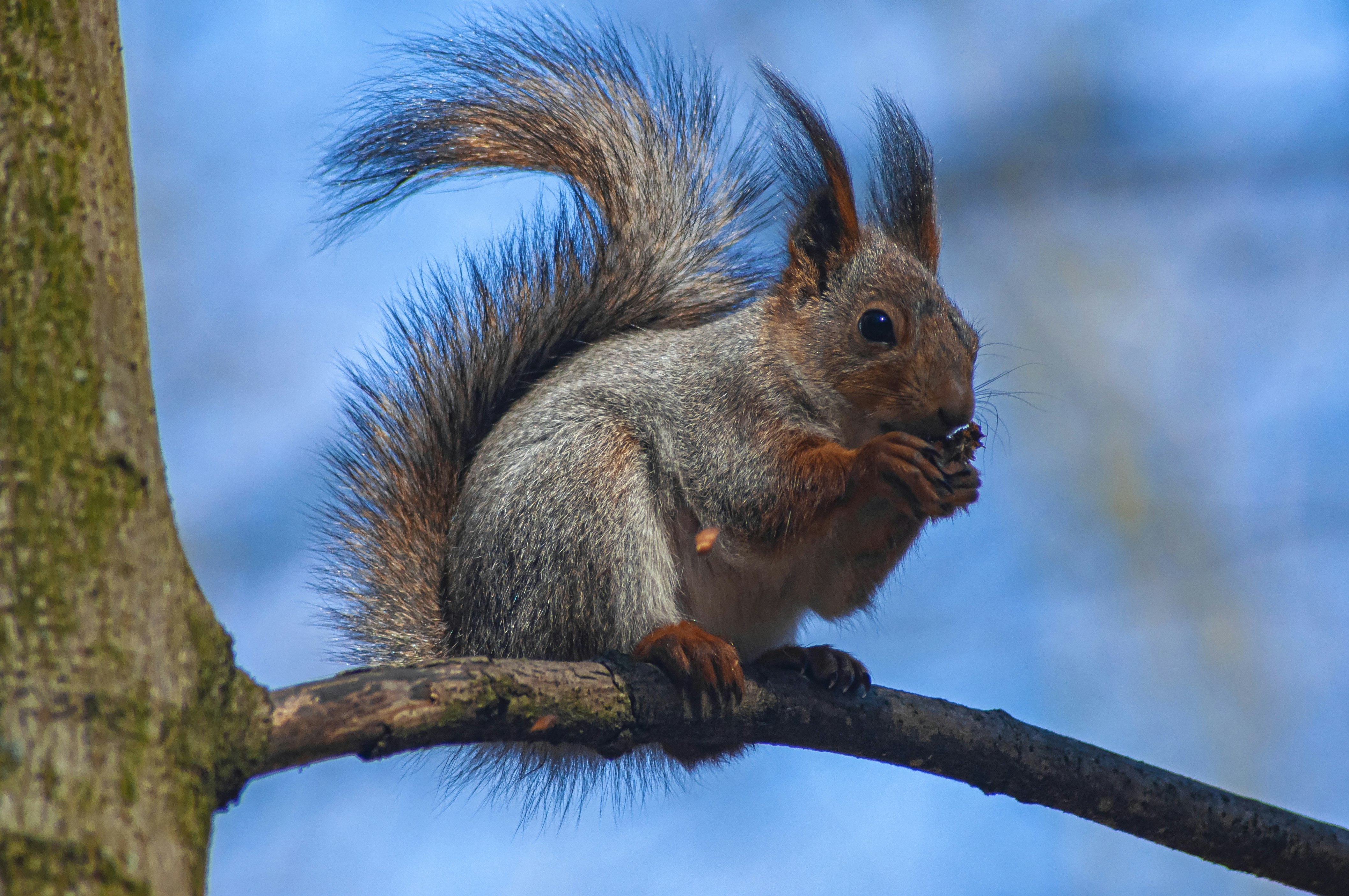 Photo by nikkitenkos