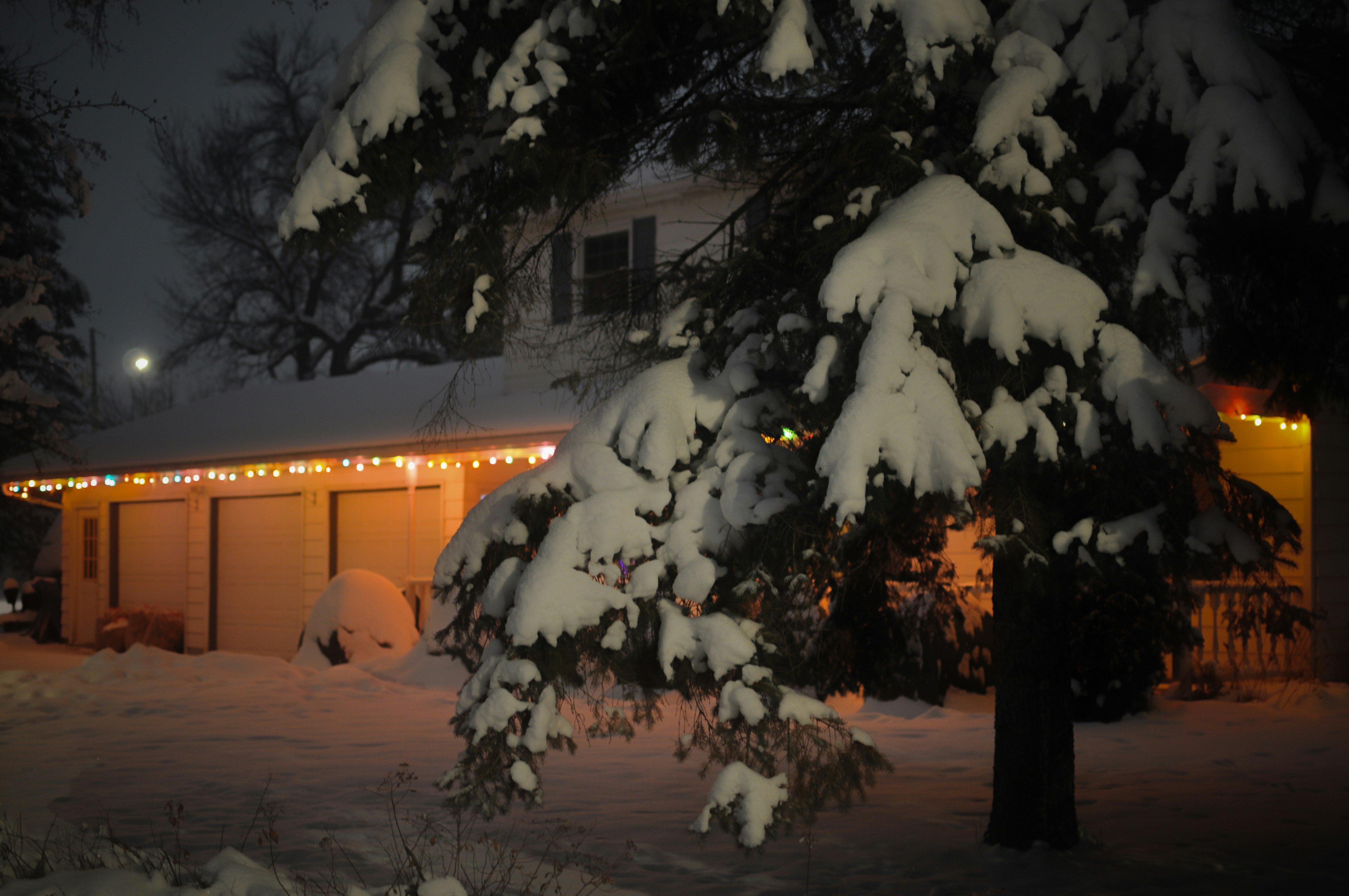 Photo by rainporches